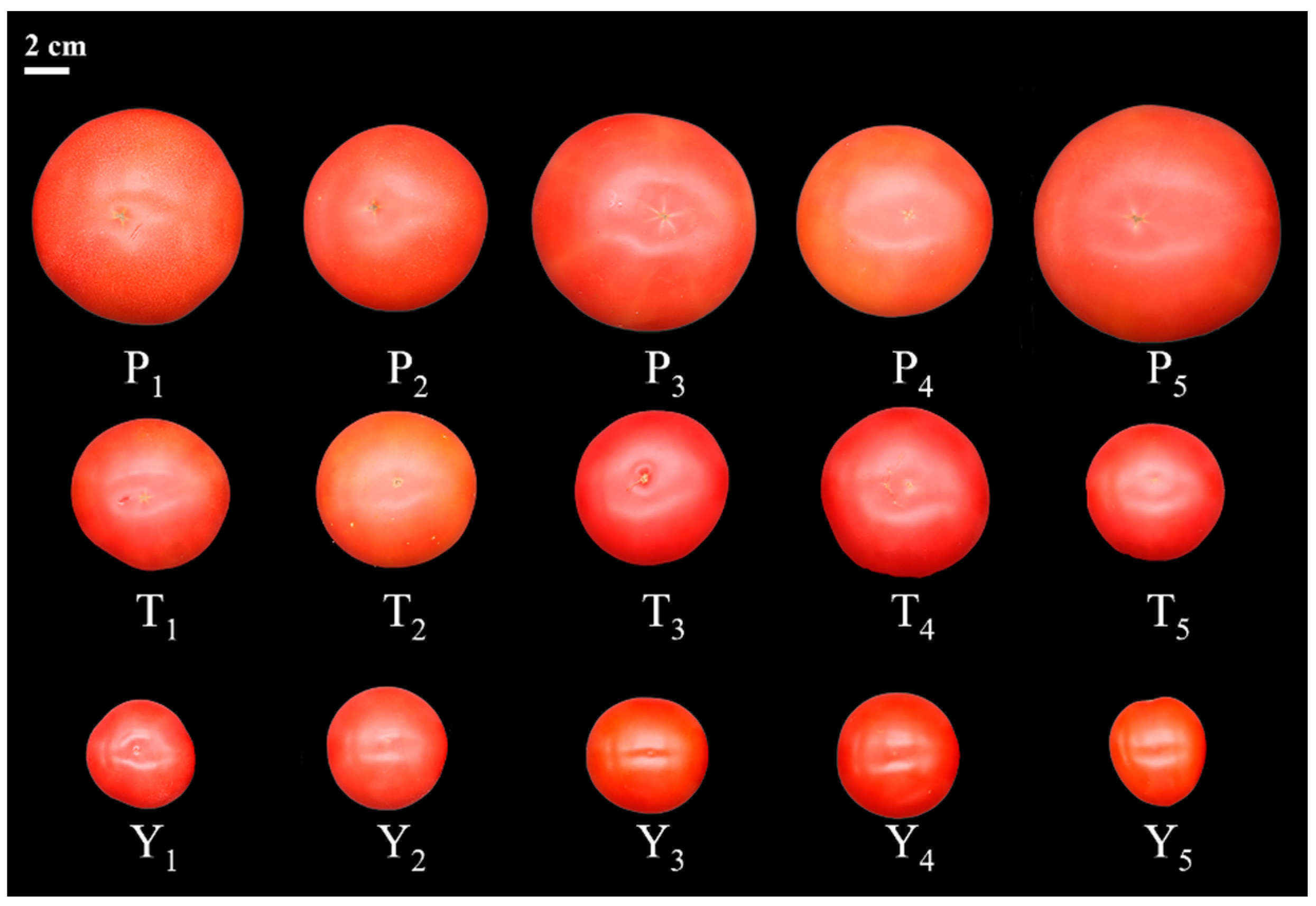 Plants 12 02947 g001