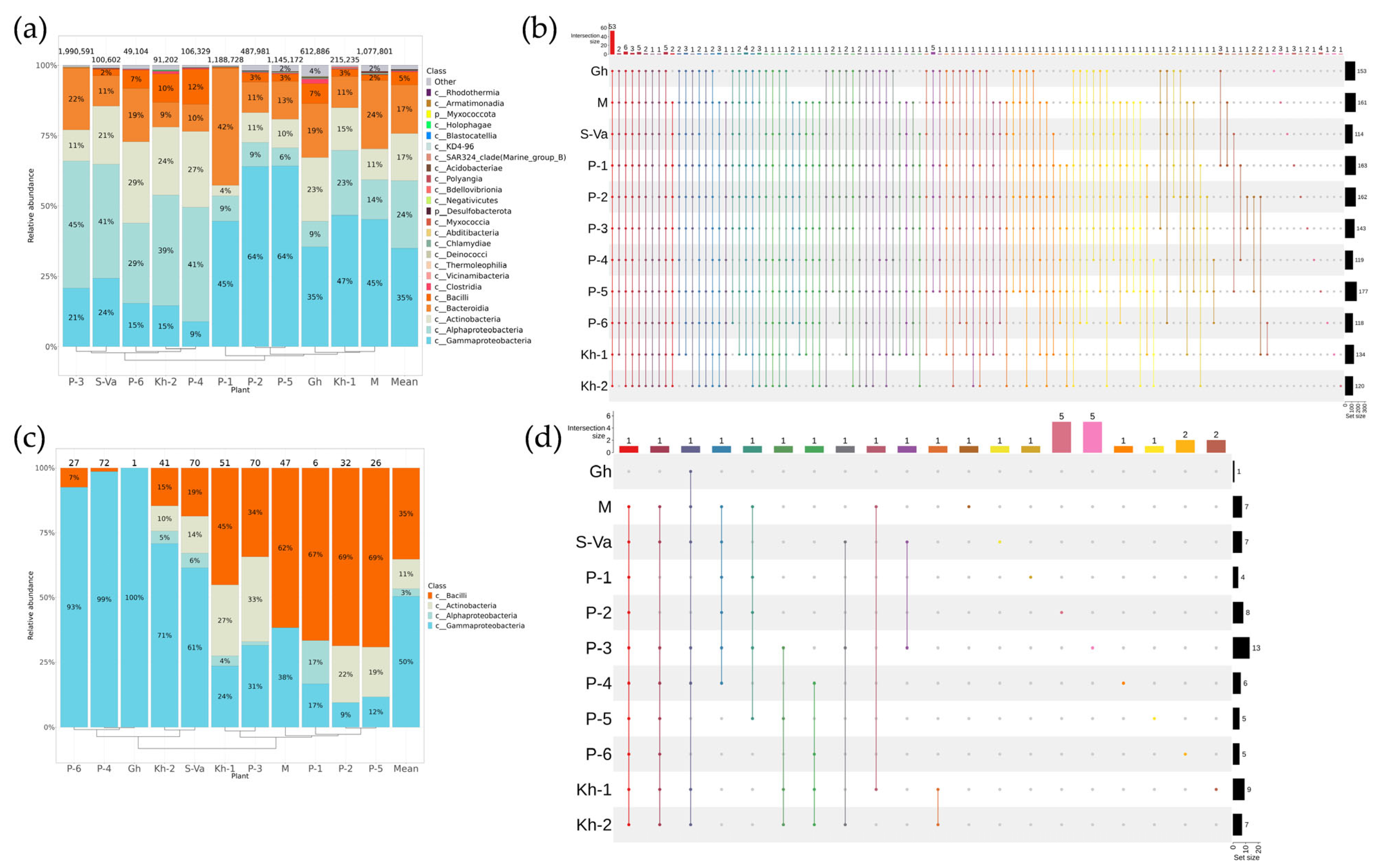 Plants 12 02952 g001 Plants 12 02952 g001