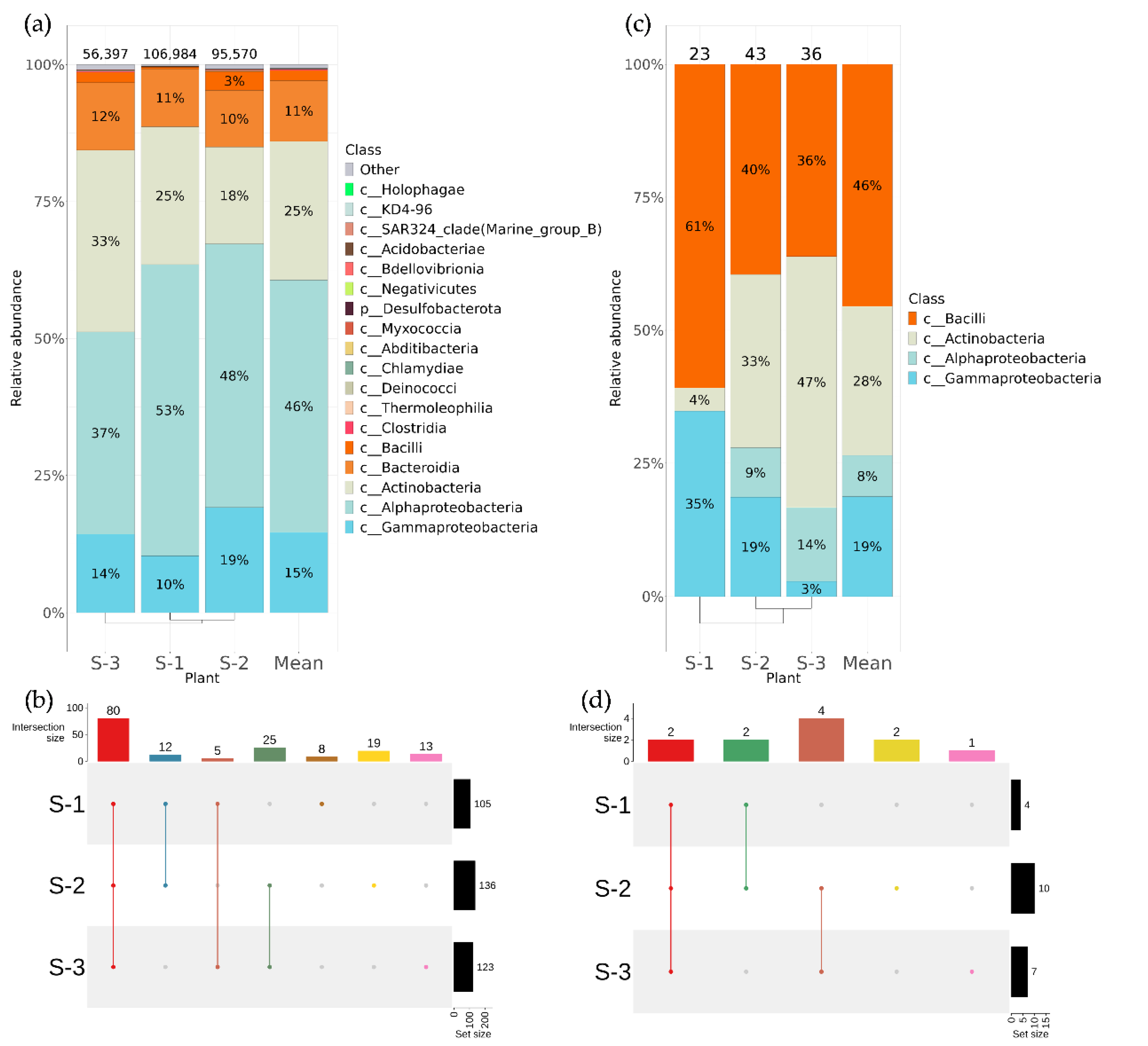 Plants 12 02952 g002 Plants 12 02952 g002