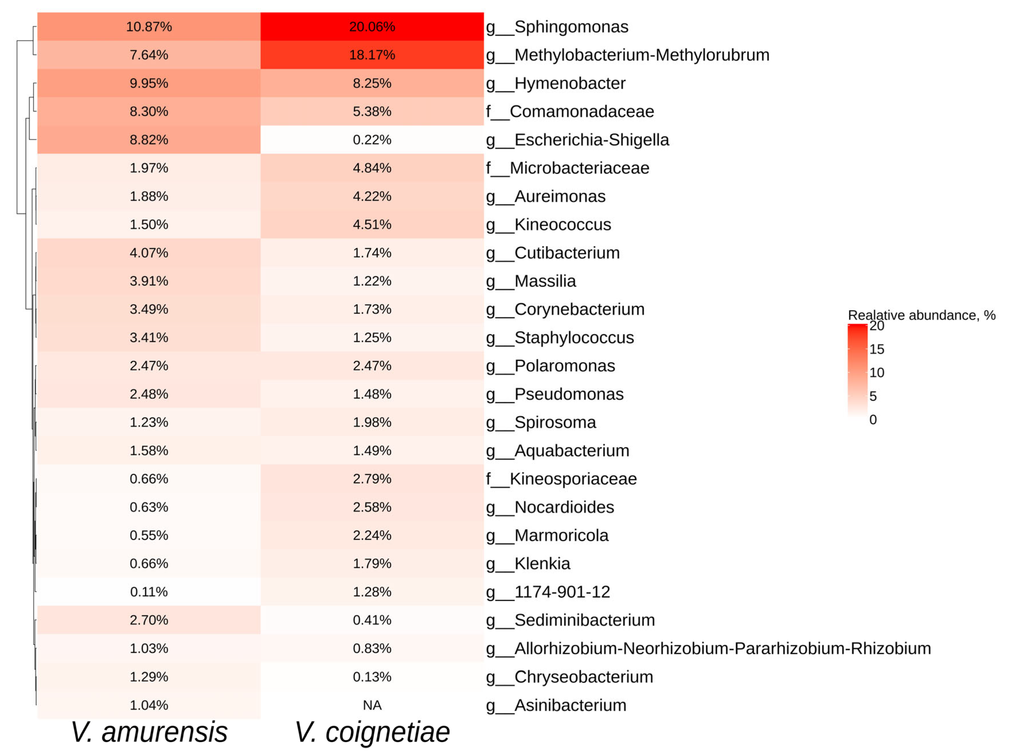 Plants 12 02952 g003 Plants 12 02952 g003