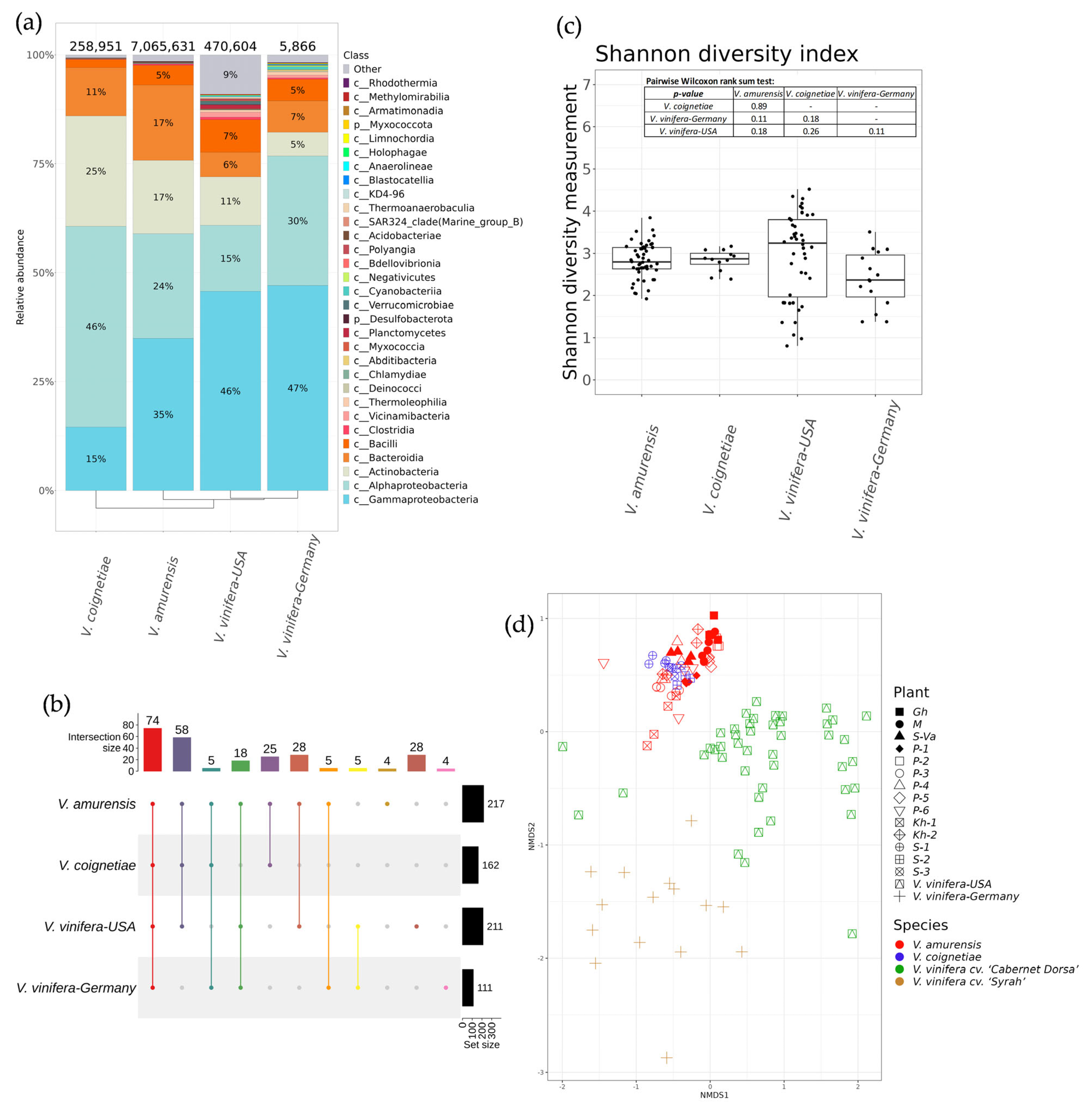 Plants 12 02952 g007 Plants 12 02952 g007