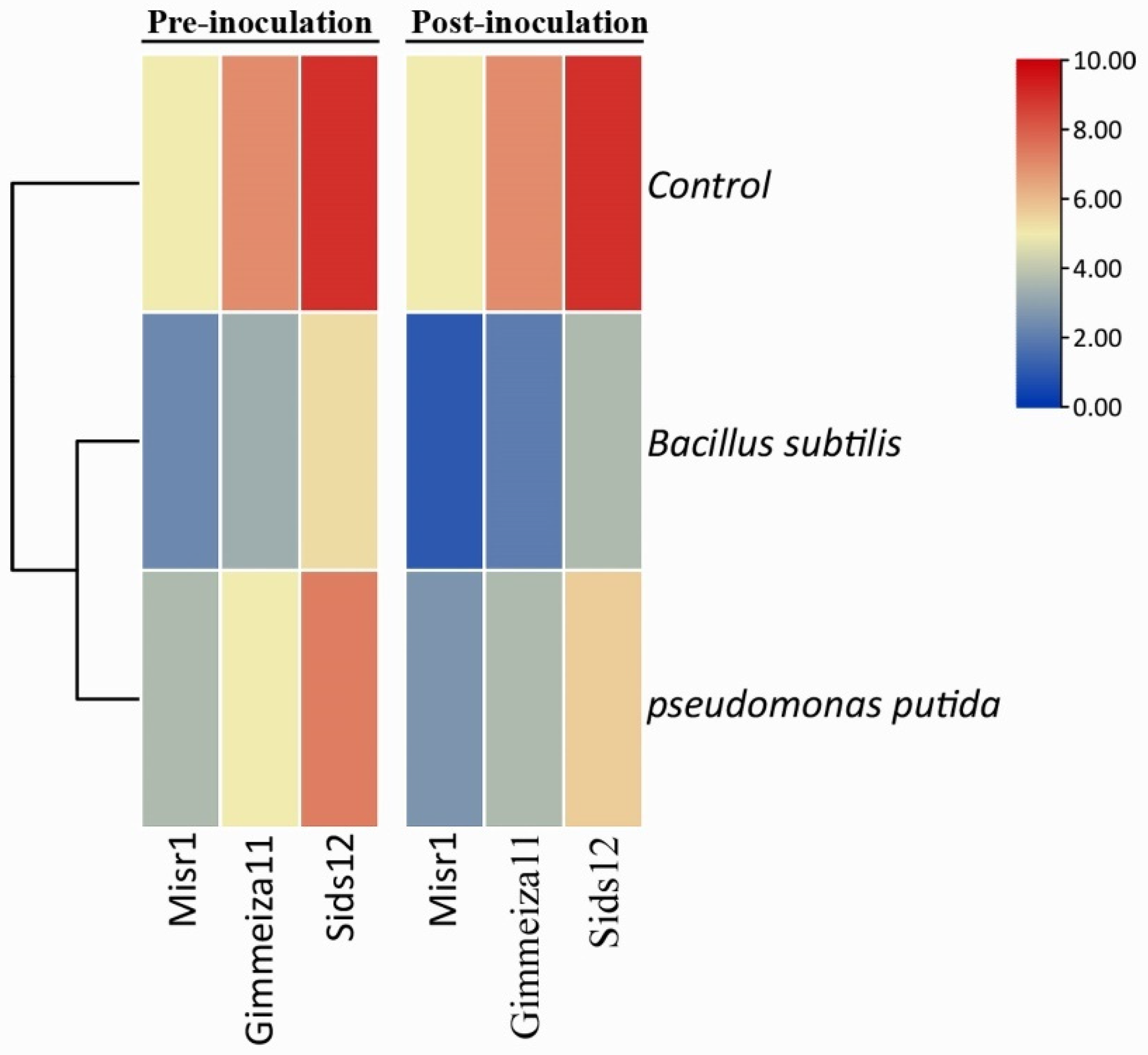 Plants 12 02954 g002 Plants 12 02954 g002