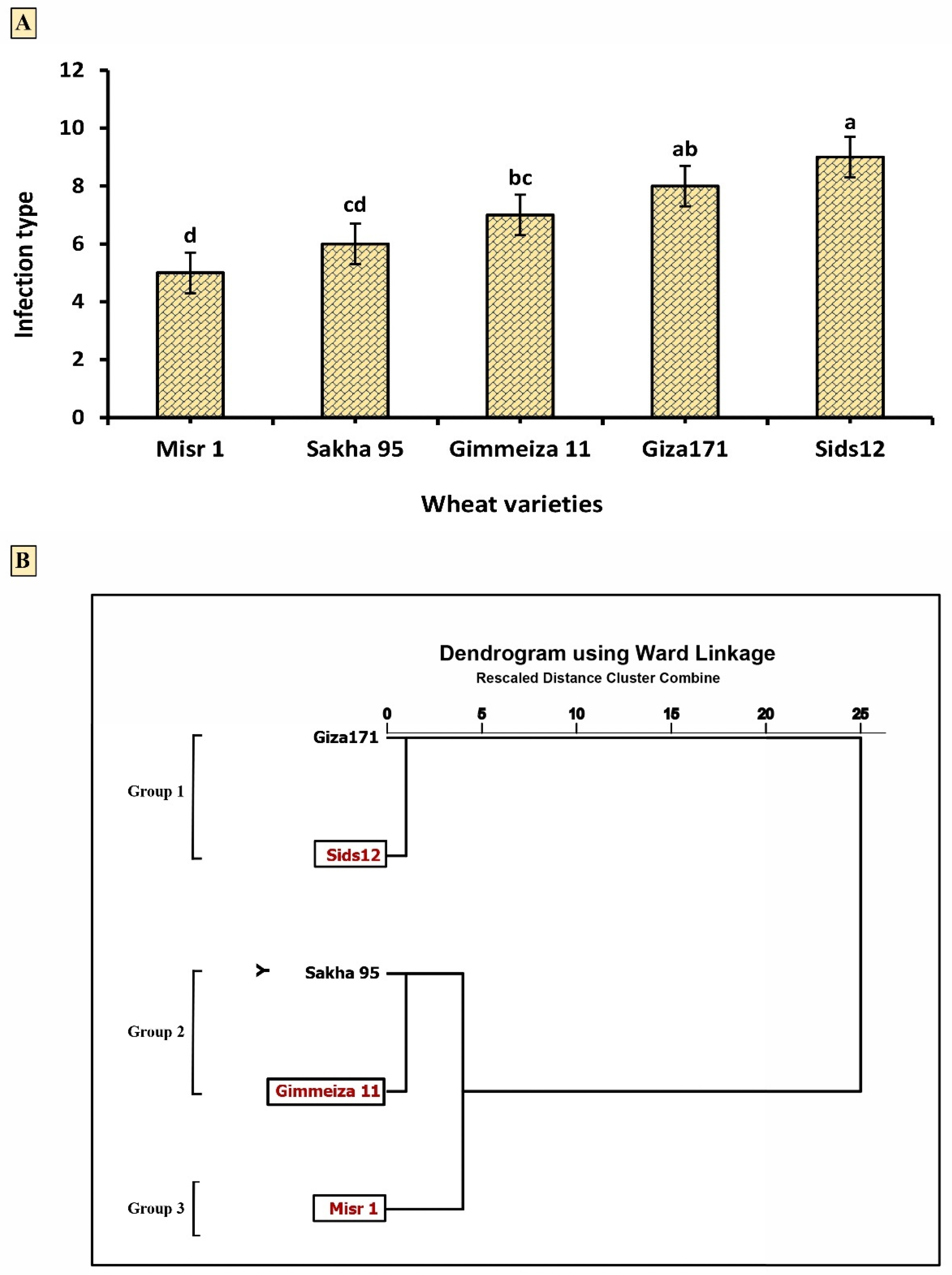 Plants 12 02954 g003 Plants 12 02954 g003