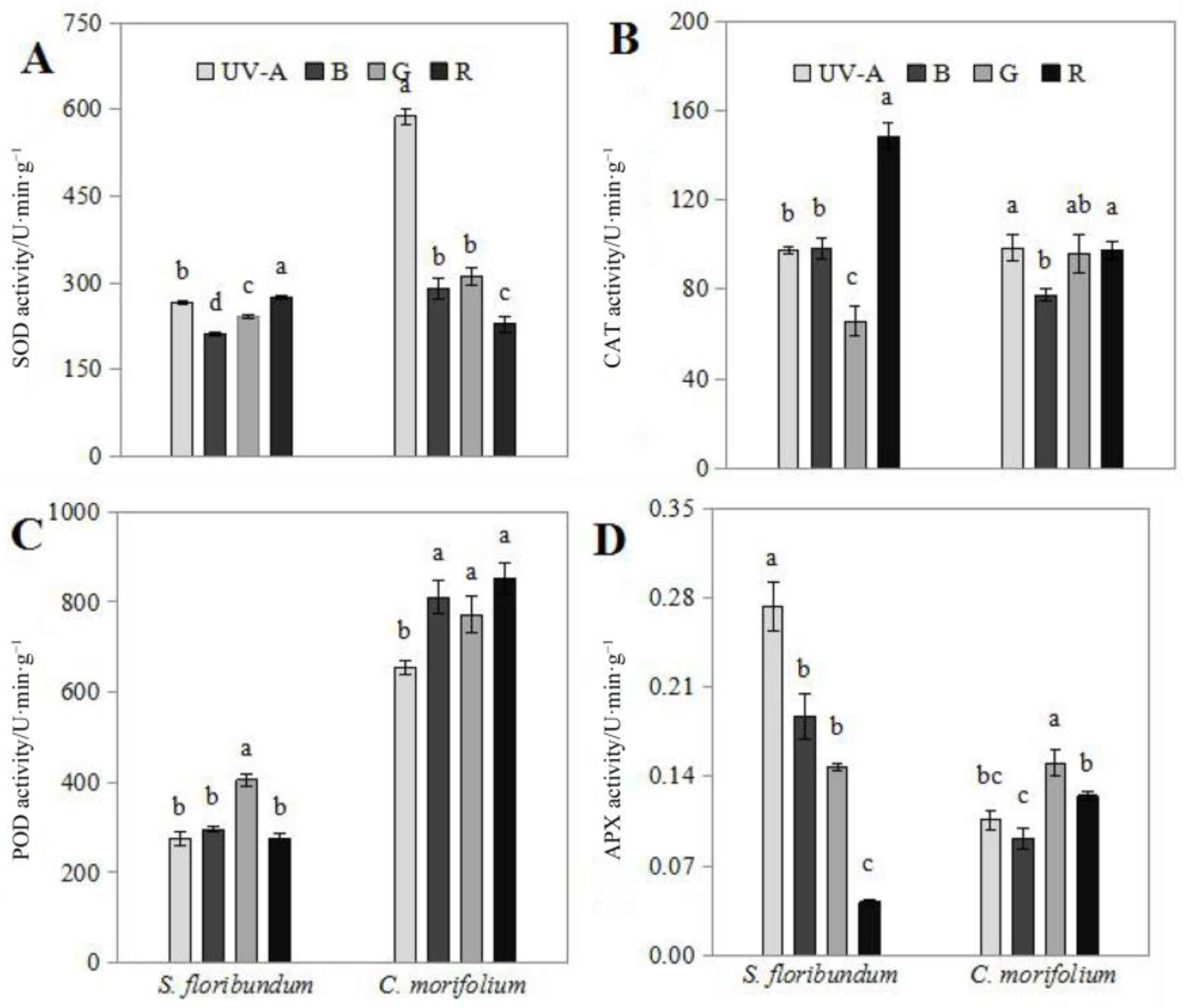 Plants 12 02964 g003