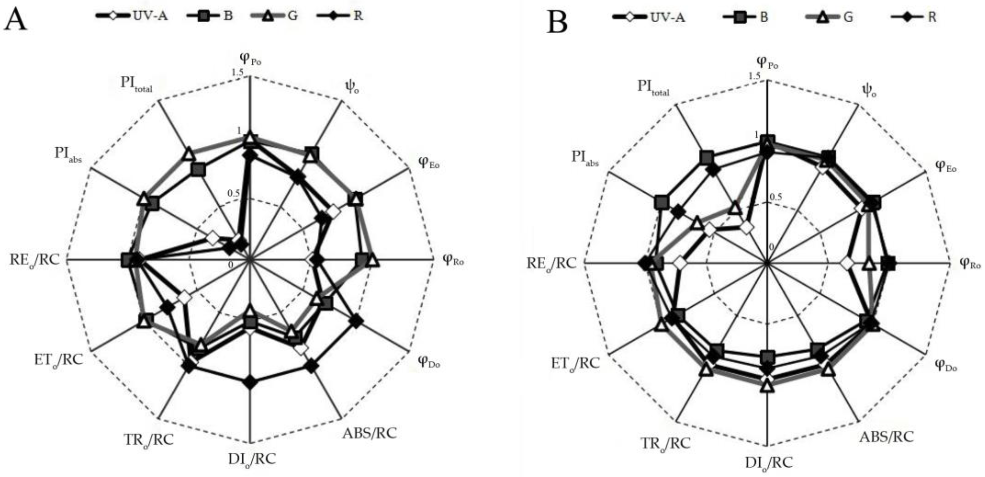 Plants 12 02964 g005