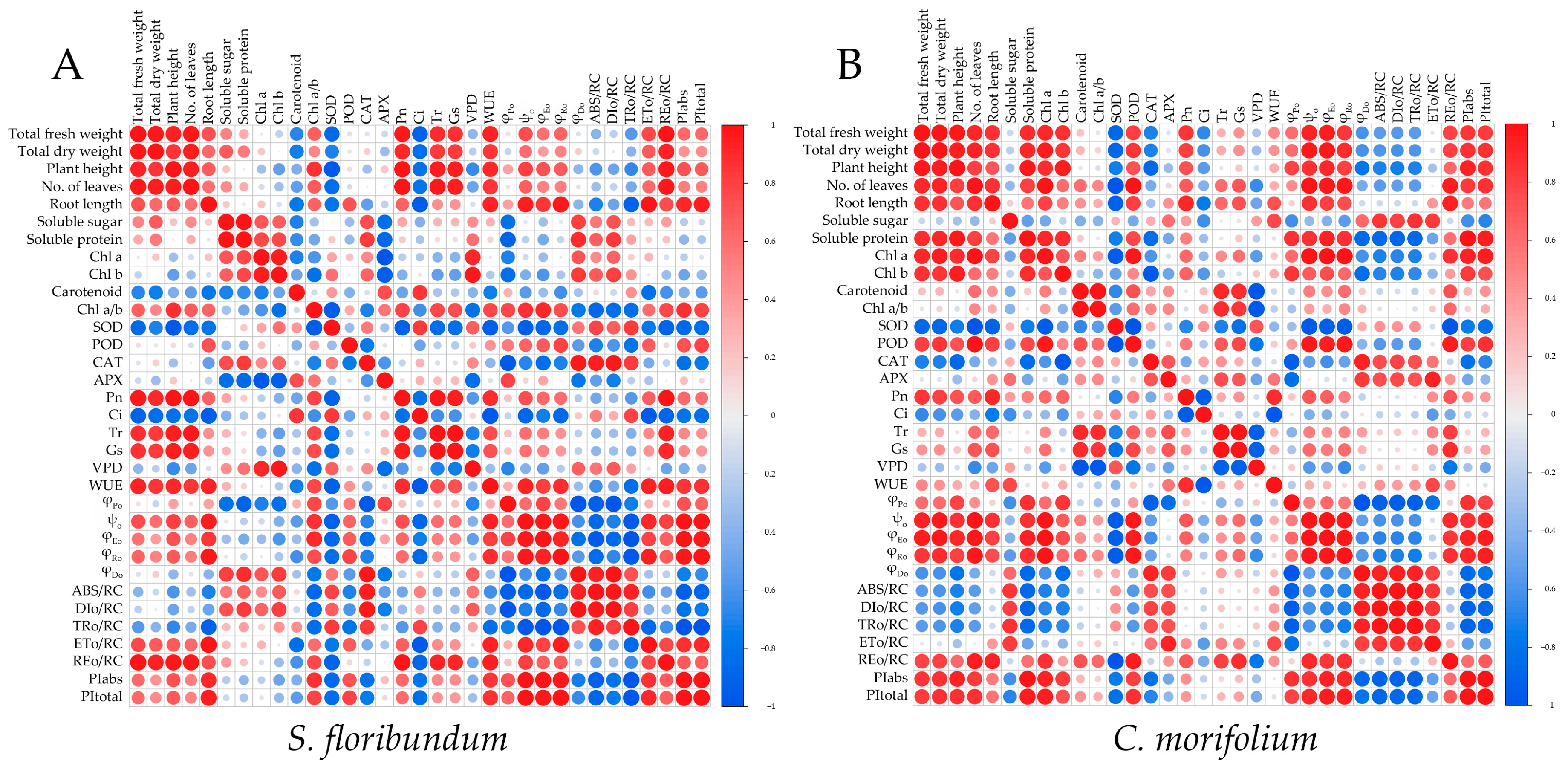 Plants 12 02964 g006