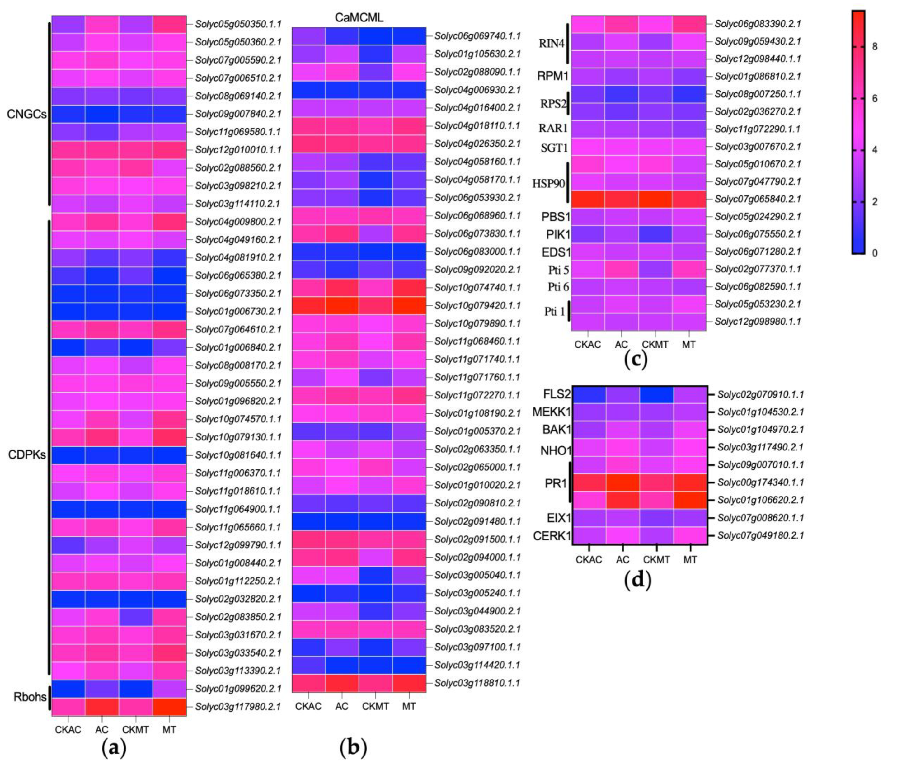 Plants 12 02965 g004
