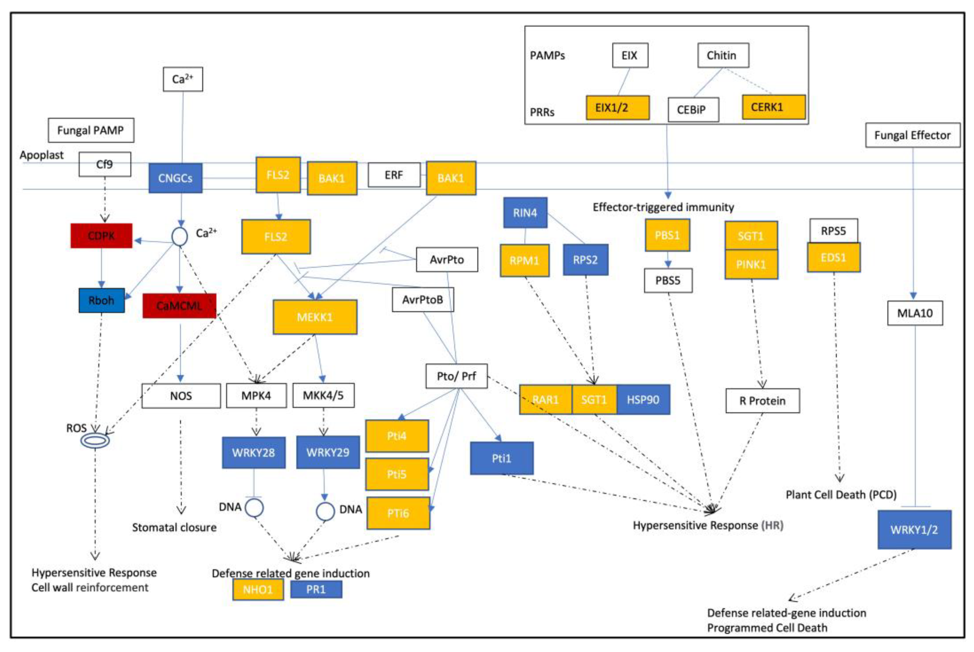 Plants 12 02965 g005