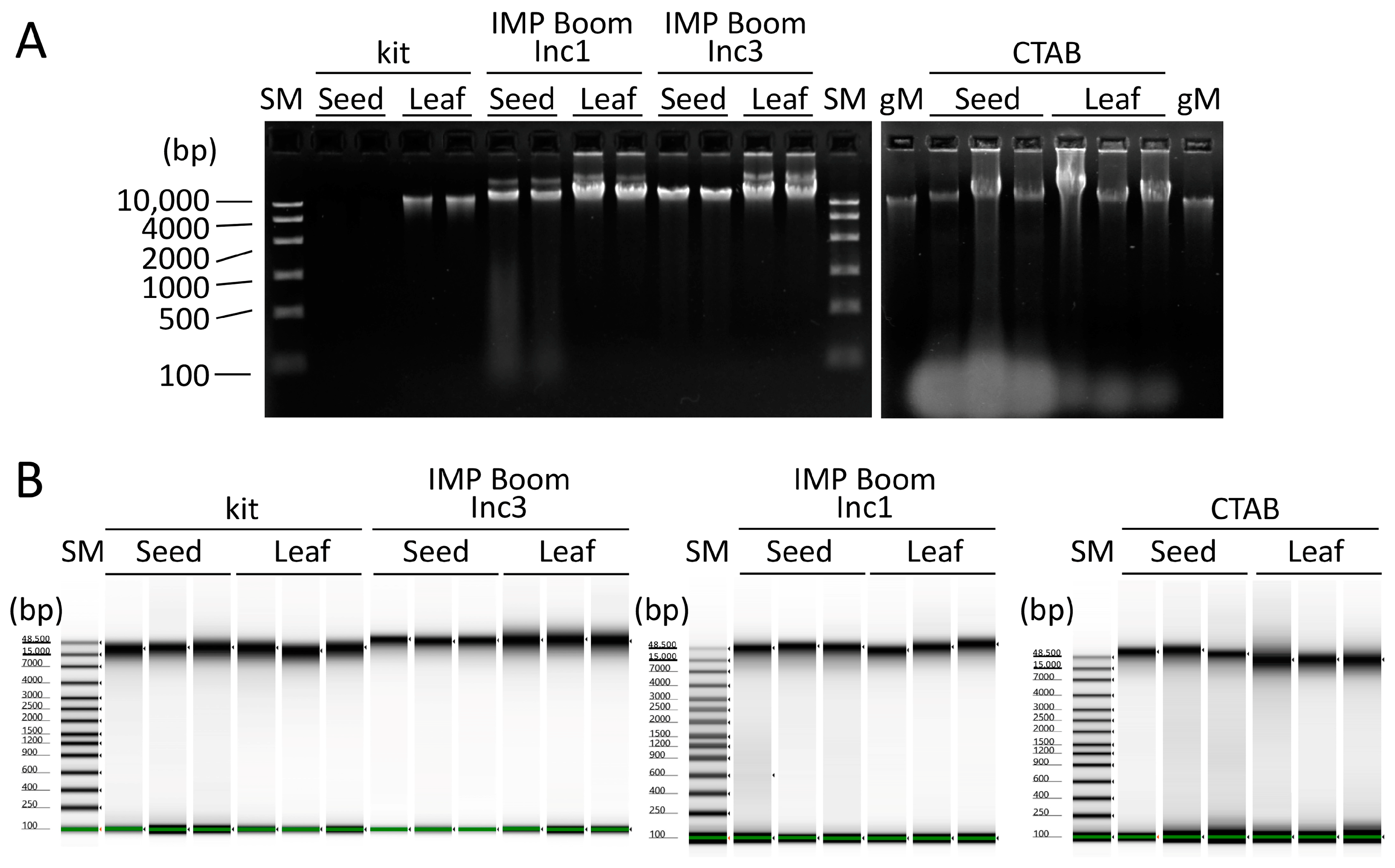 Plants 12 02971 g002