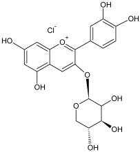 Plants 12 02976 i004