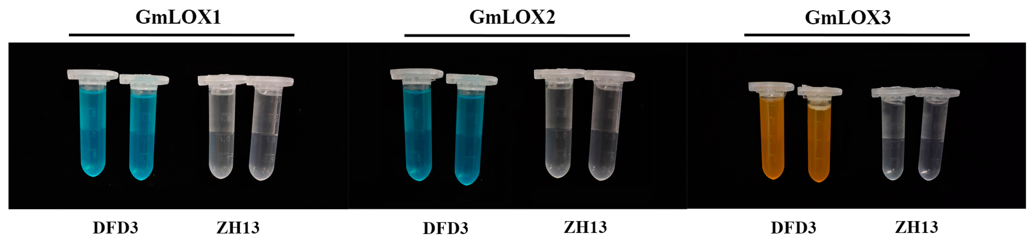 Plants 12 02994 g006