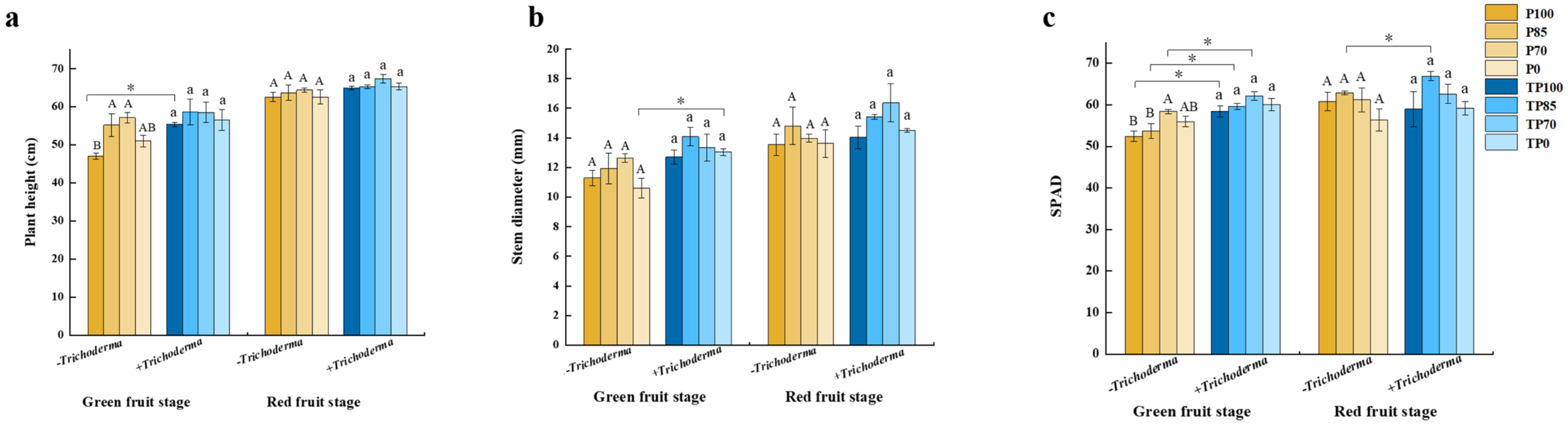 Plants 12 02998 g002