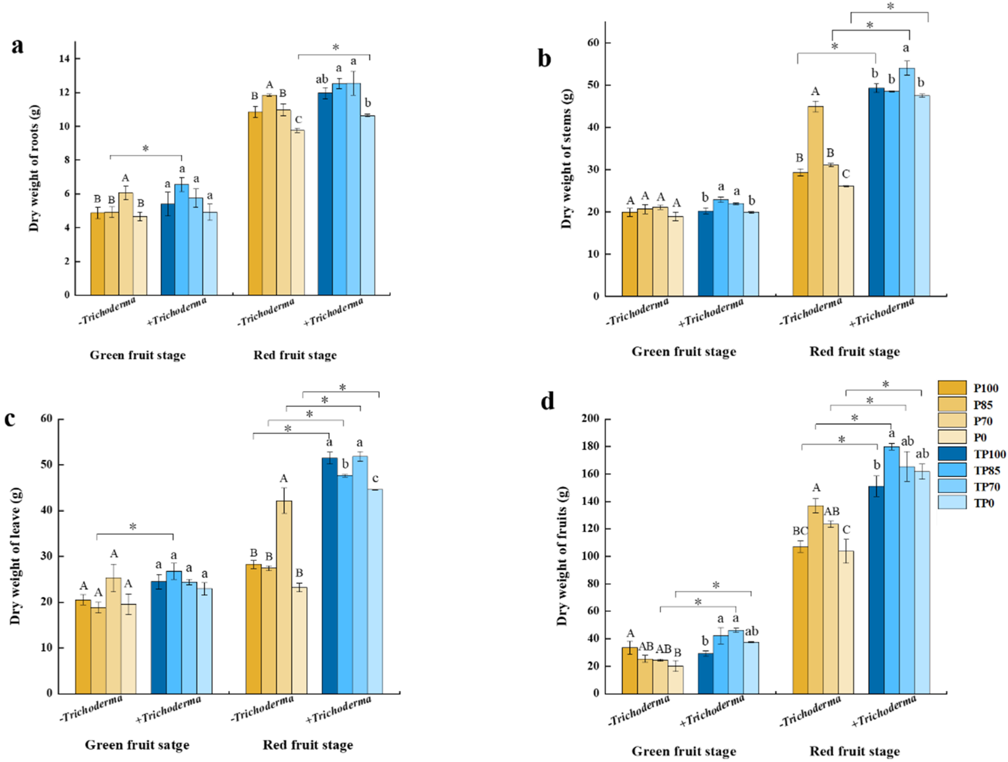 Plants 12 02998 g003