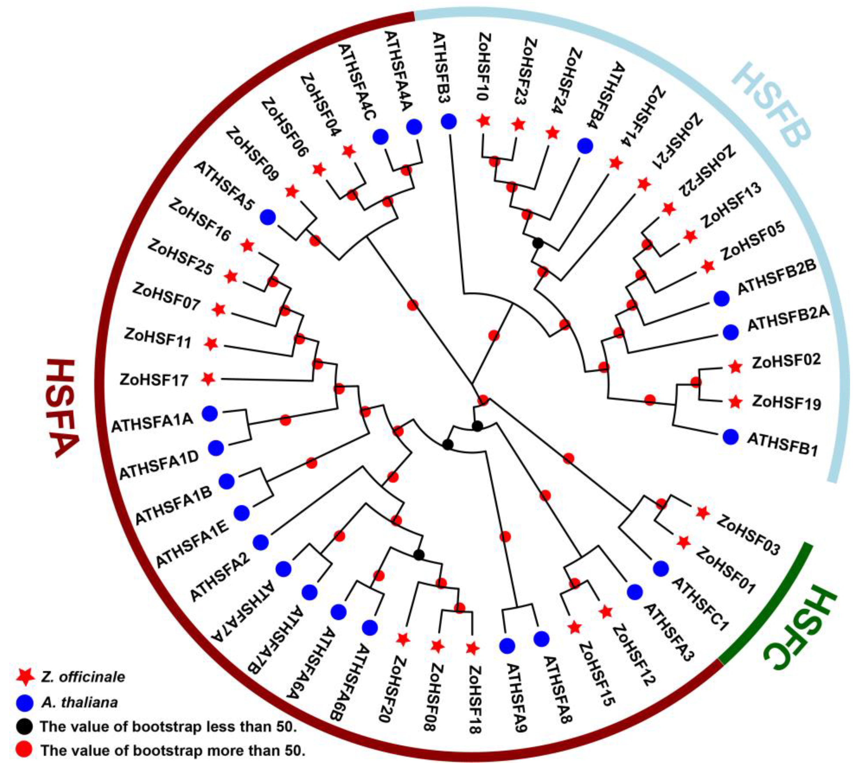 Plants 12 02999 g002 Plants 12 02999 g002