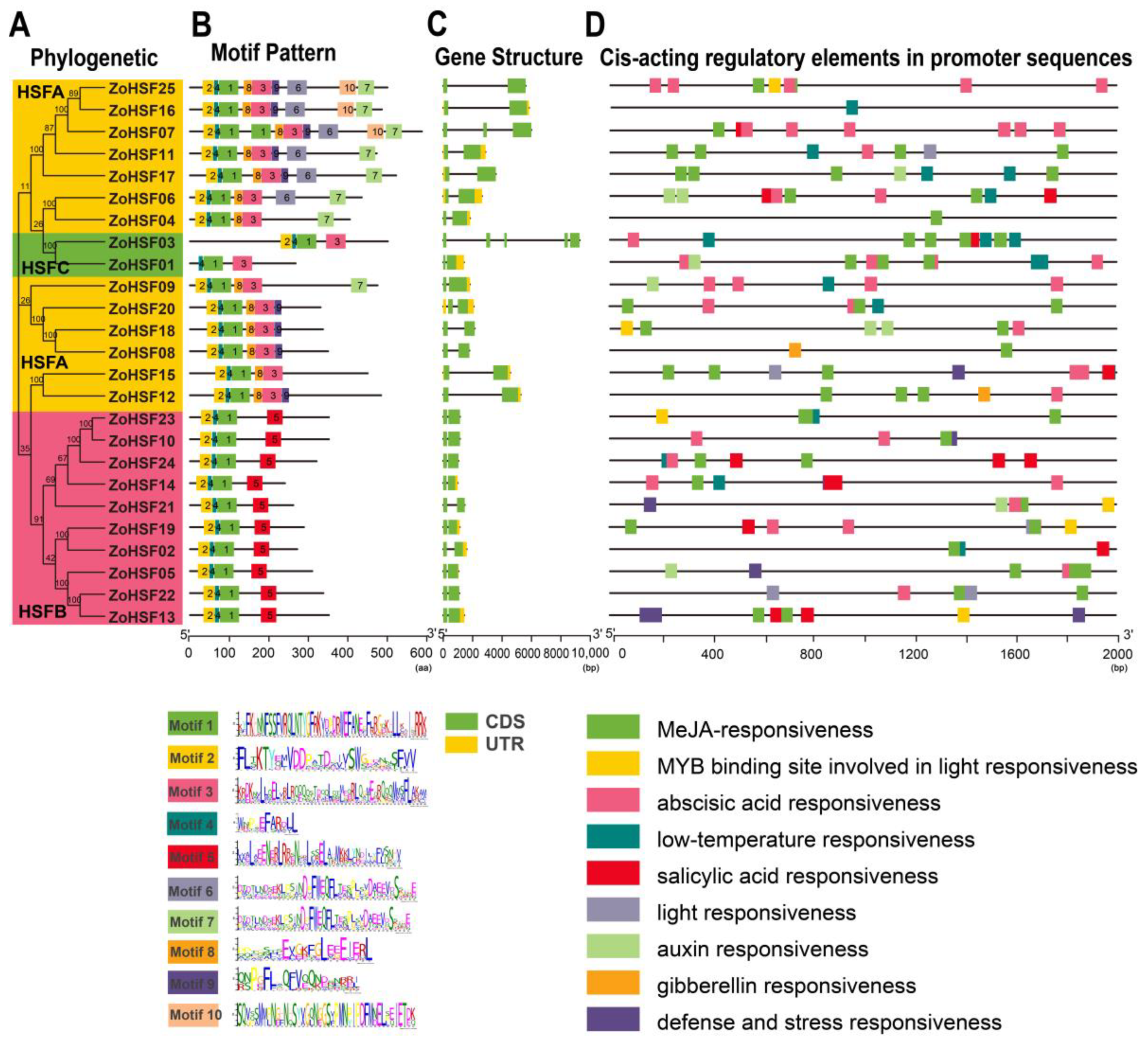 Plants 12 02999 g003 Plants 12 02999 g003