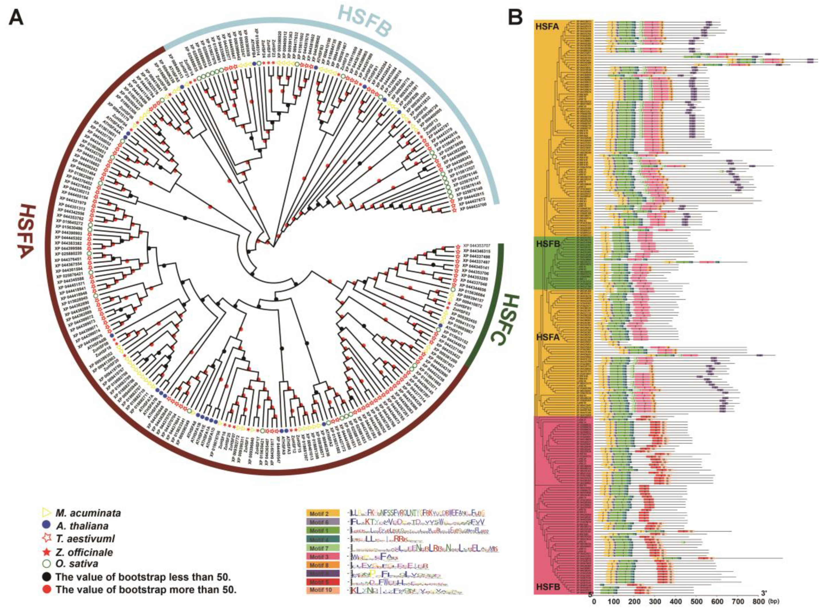 Plants 12 02999 g004 Plants 12 02999 g004