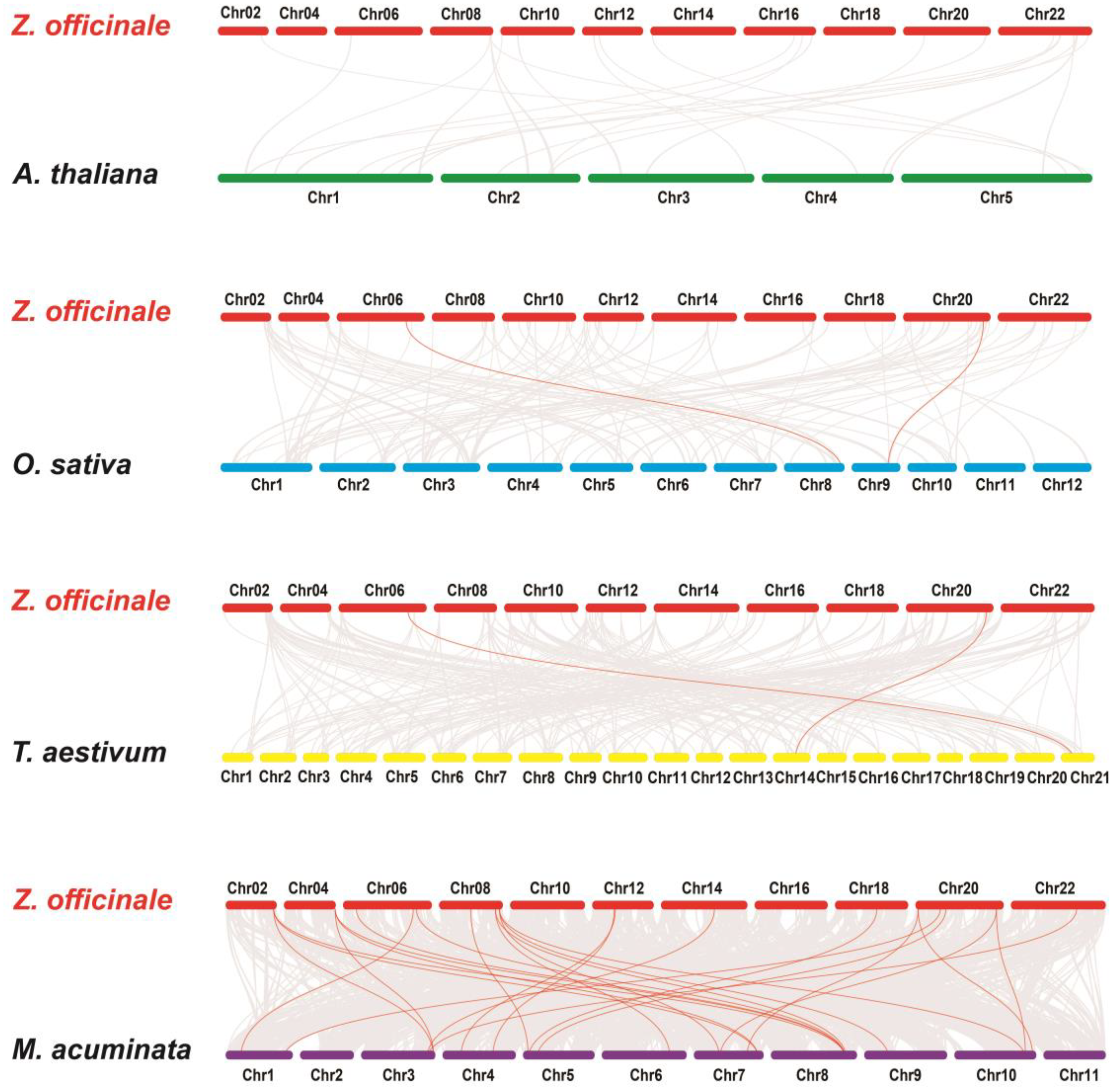 Plants 12 02999 g005 Plants 12 02999 g005