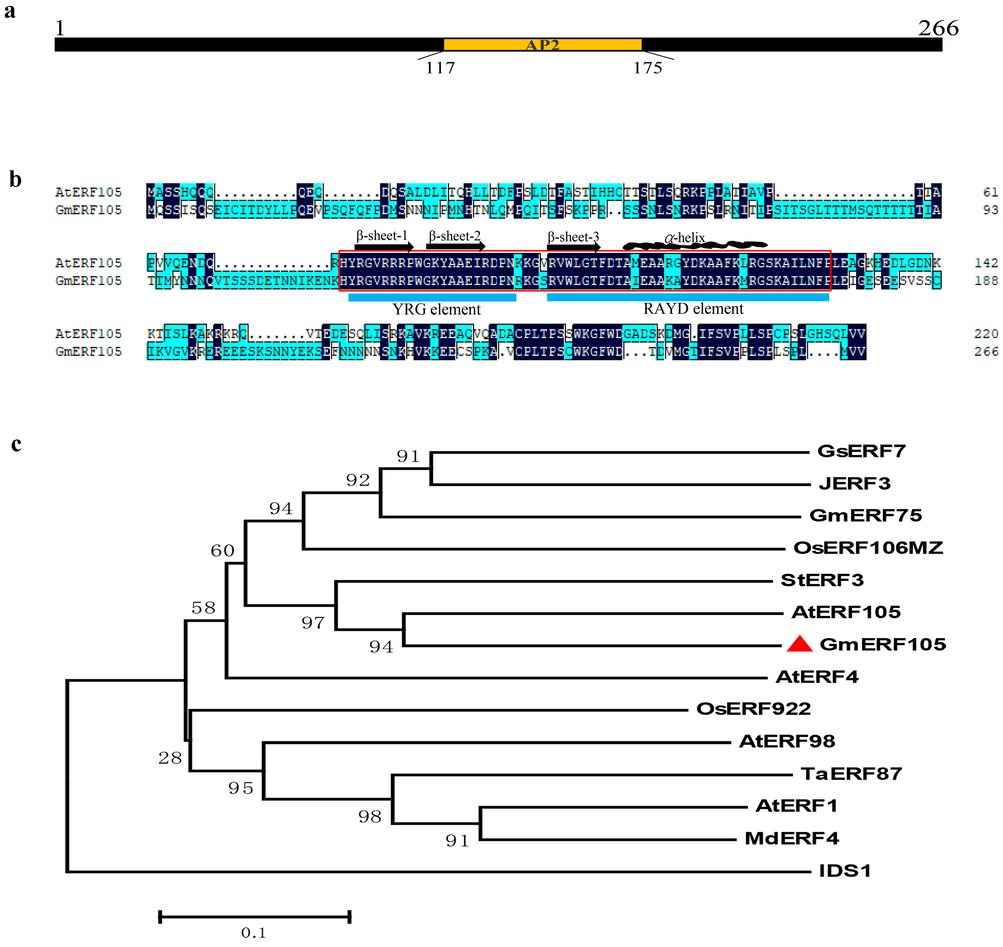 Plants 12 03007 g001