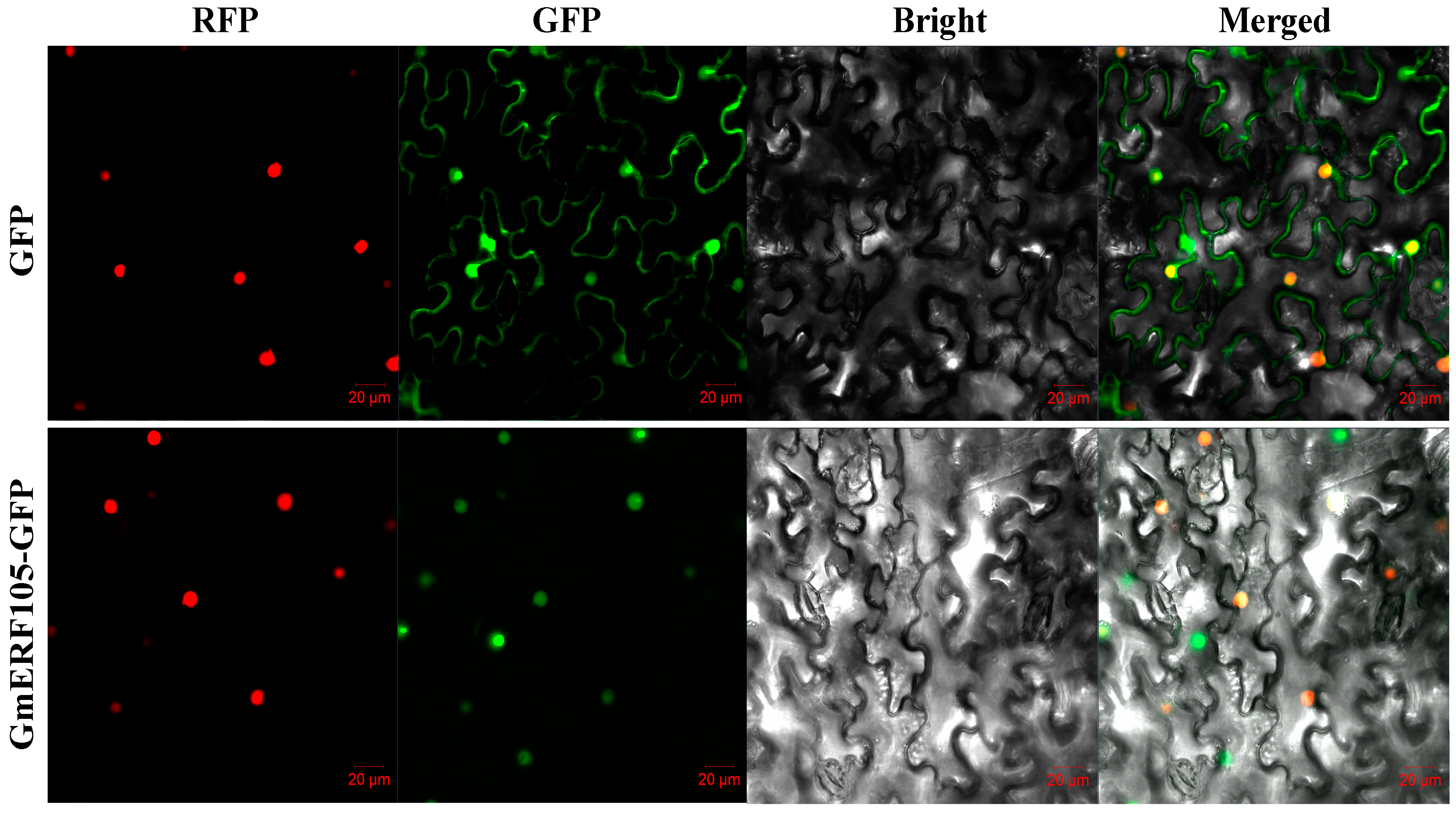 Plants 12 03007 g003