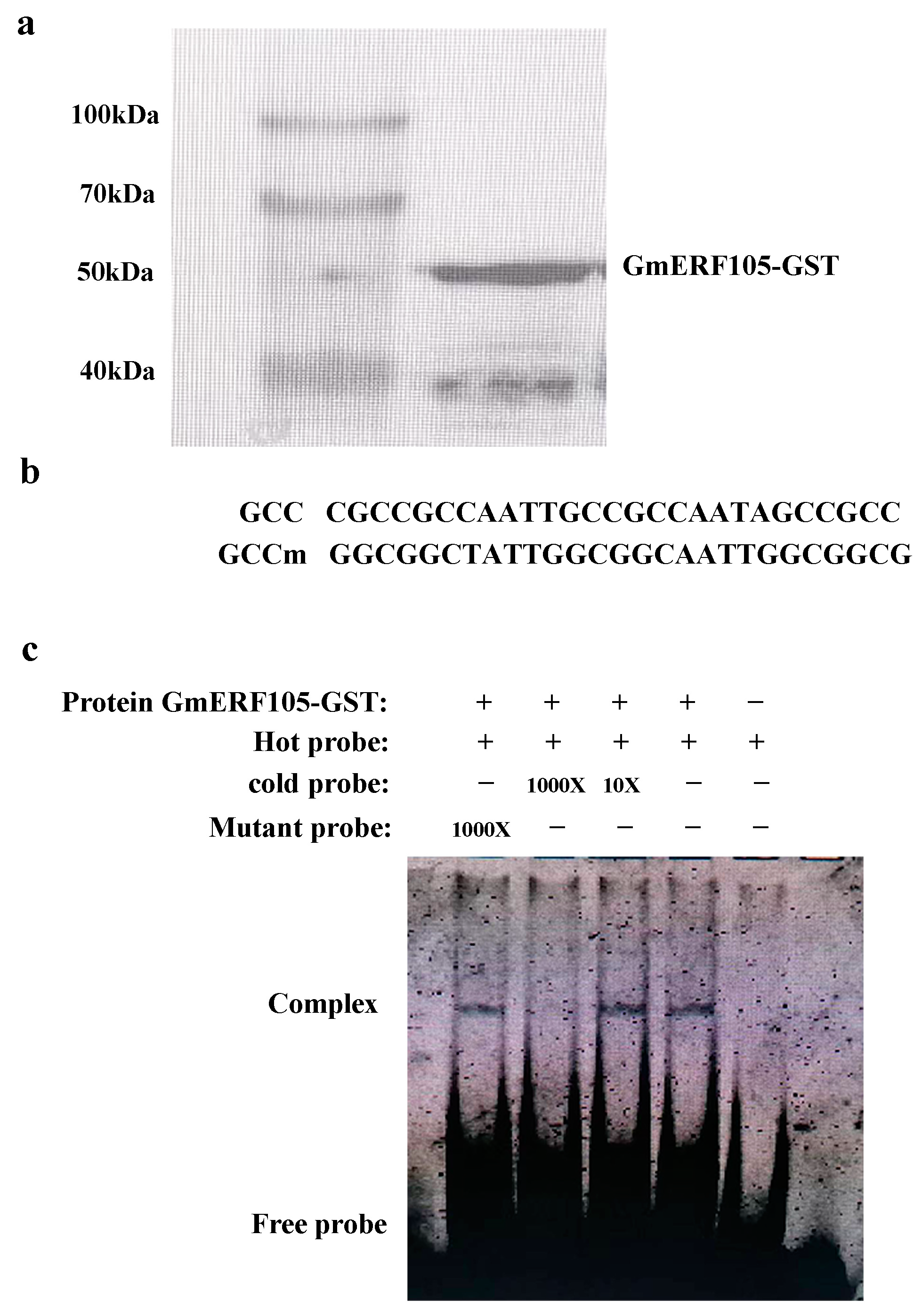Plants 12 03007 g004