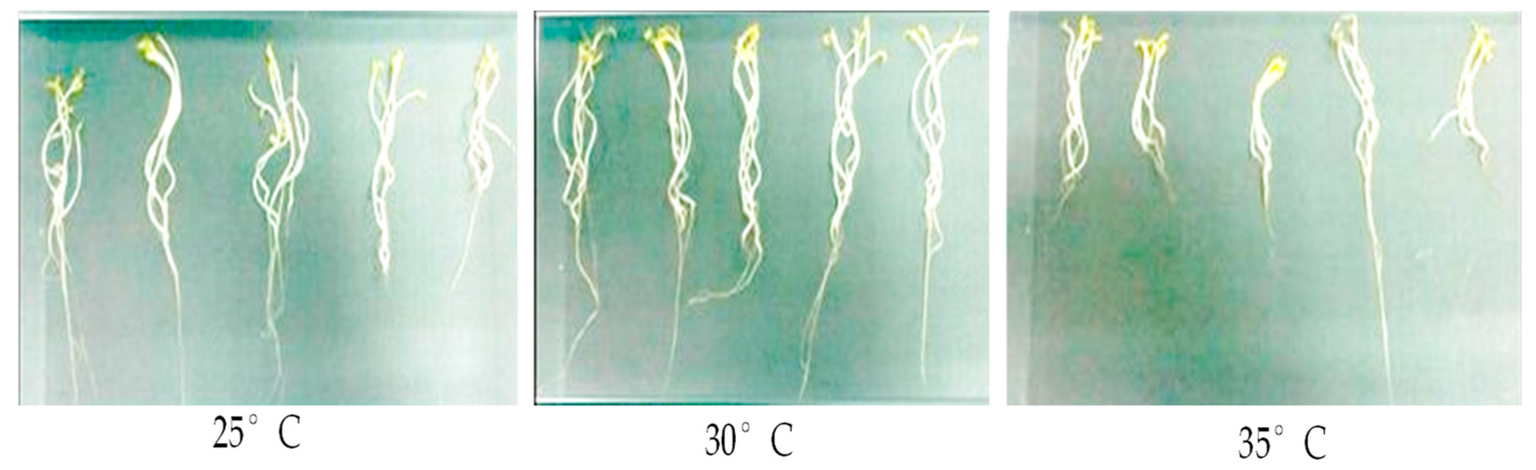 Plants 12 03010 g001 Plants 12 03010 g001