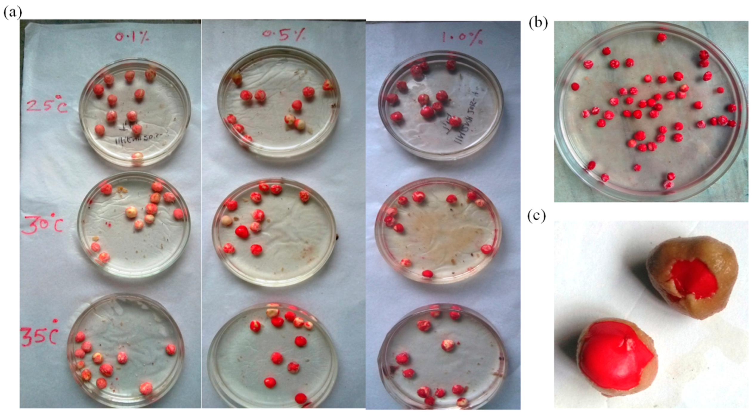 Plants 12 03010 g002 Plants 12 03010 g002