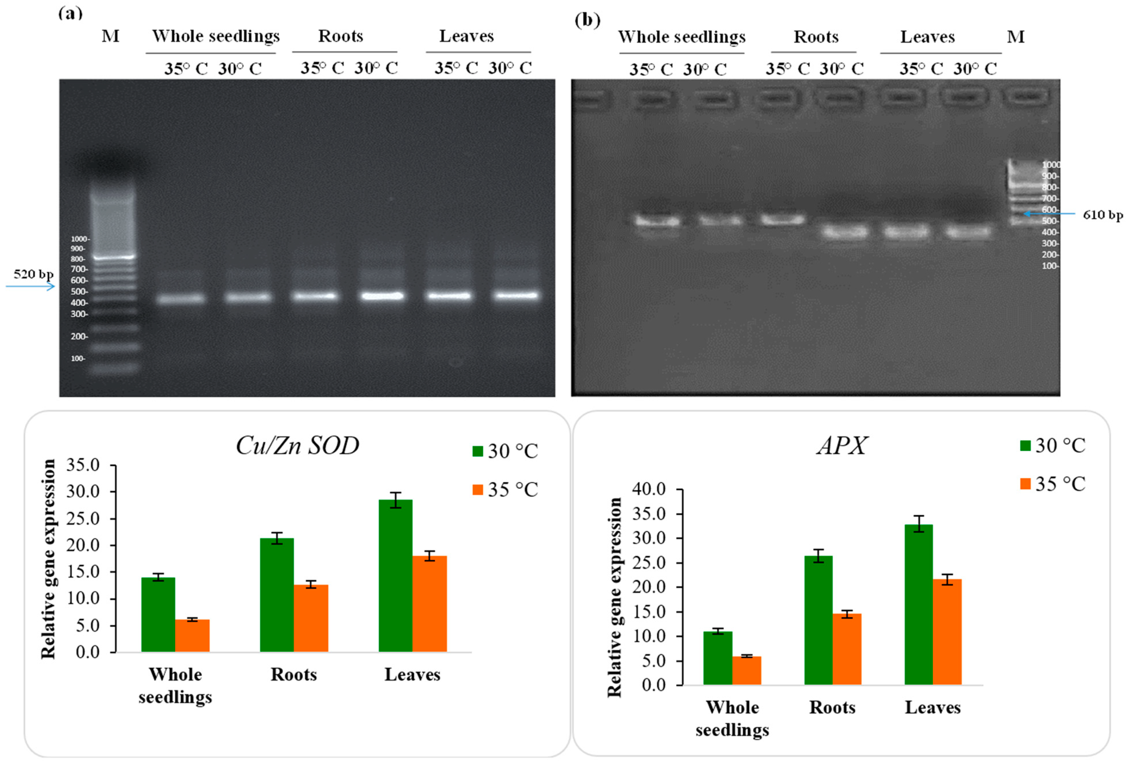 Plants 12 03010 g007a Plants 12 03010 g007a
