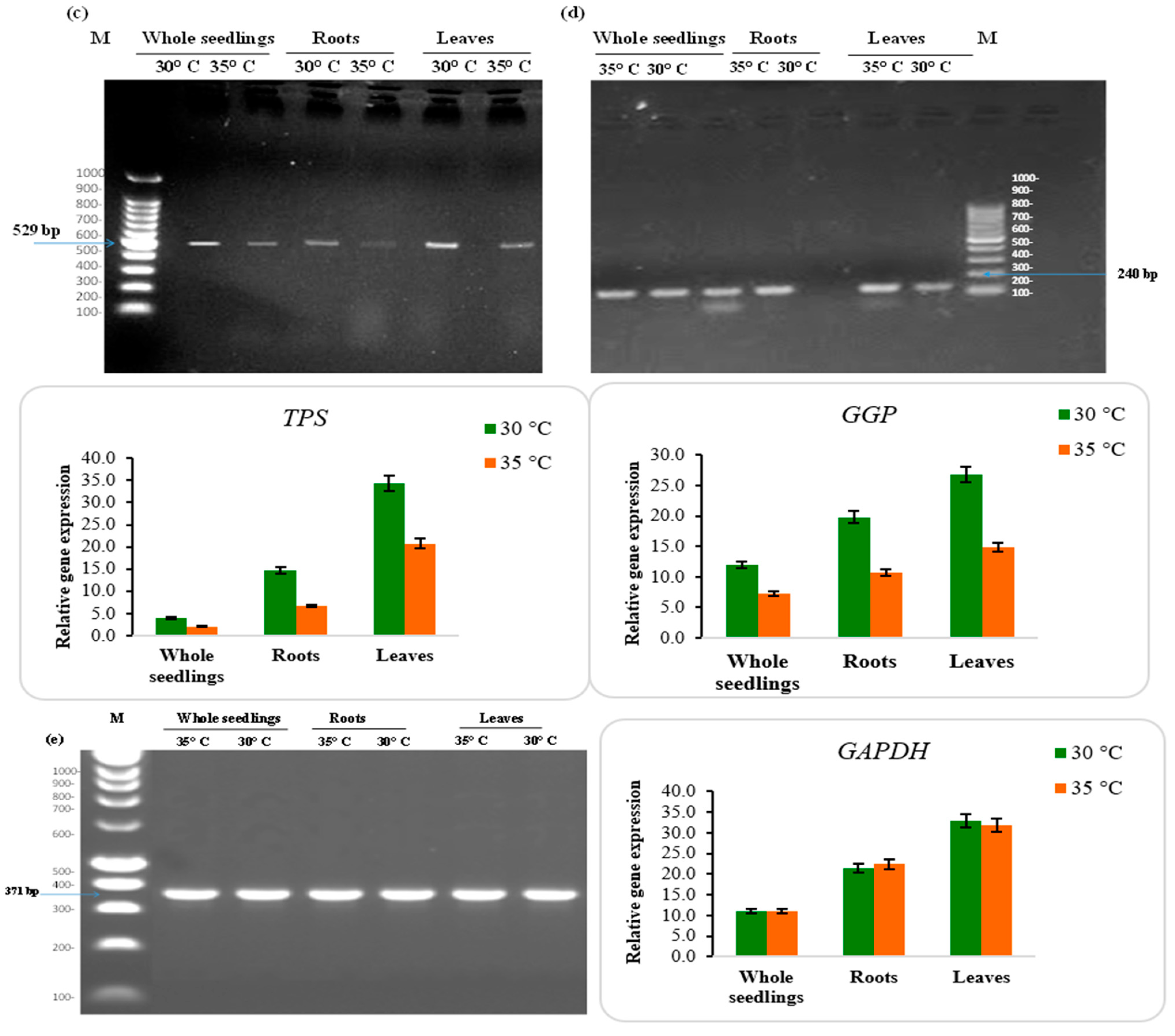 Plants 12 03010 g007b Plants 12 03010 g007b