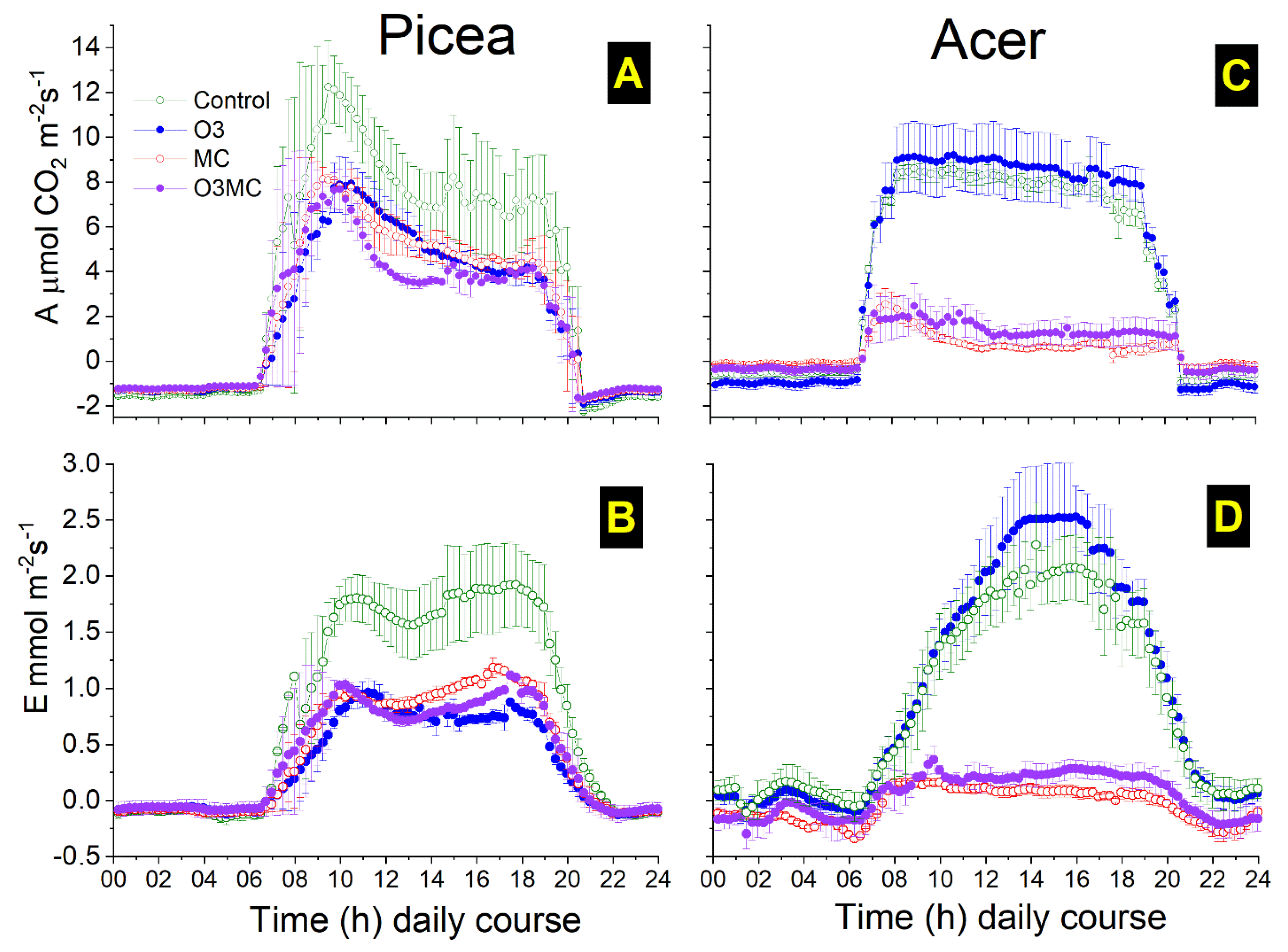 Plants 12 03011 g005 Plants 12 03011 g005