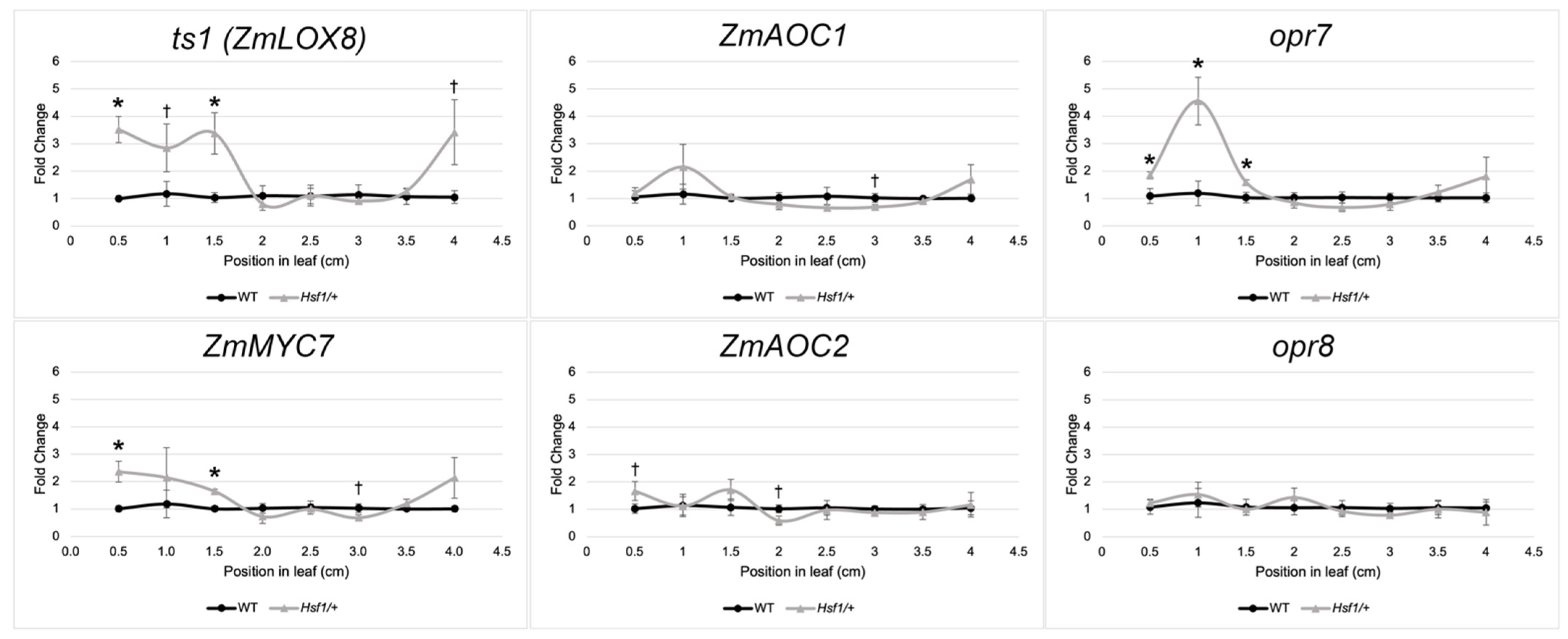Plants 12 03014 g002 Plants 12 03014 g002