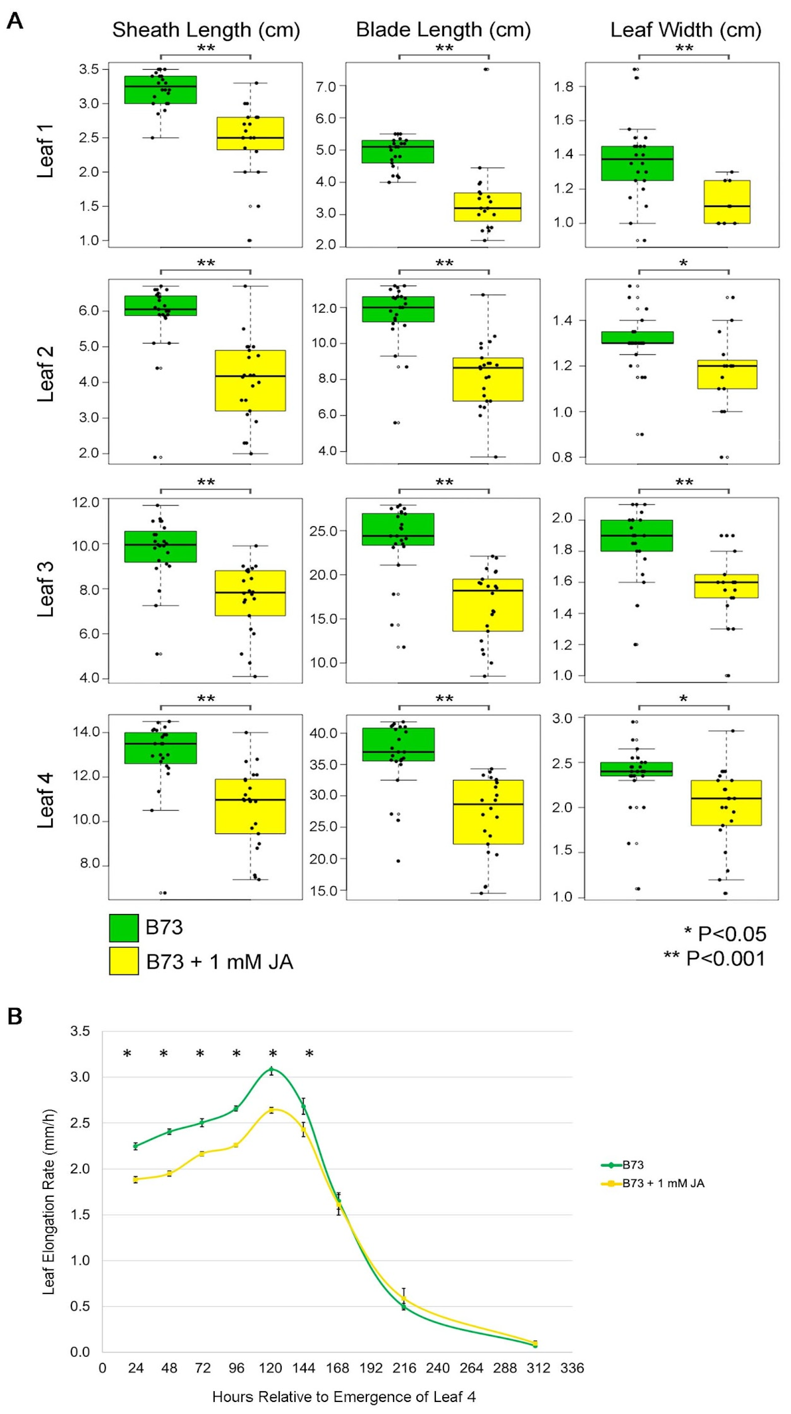 Plants 12 03014 g003 Plants 12 03014 g003