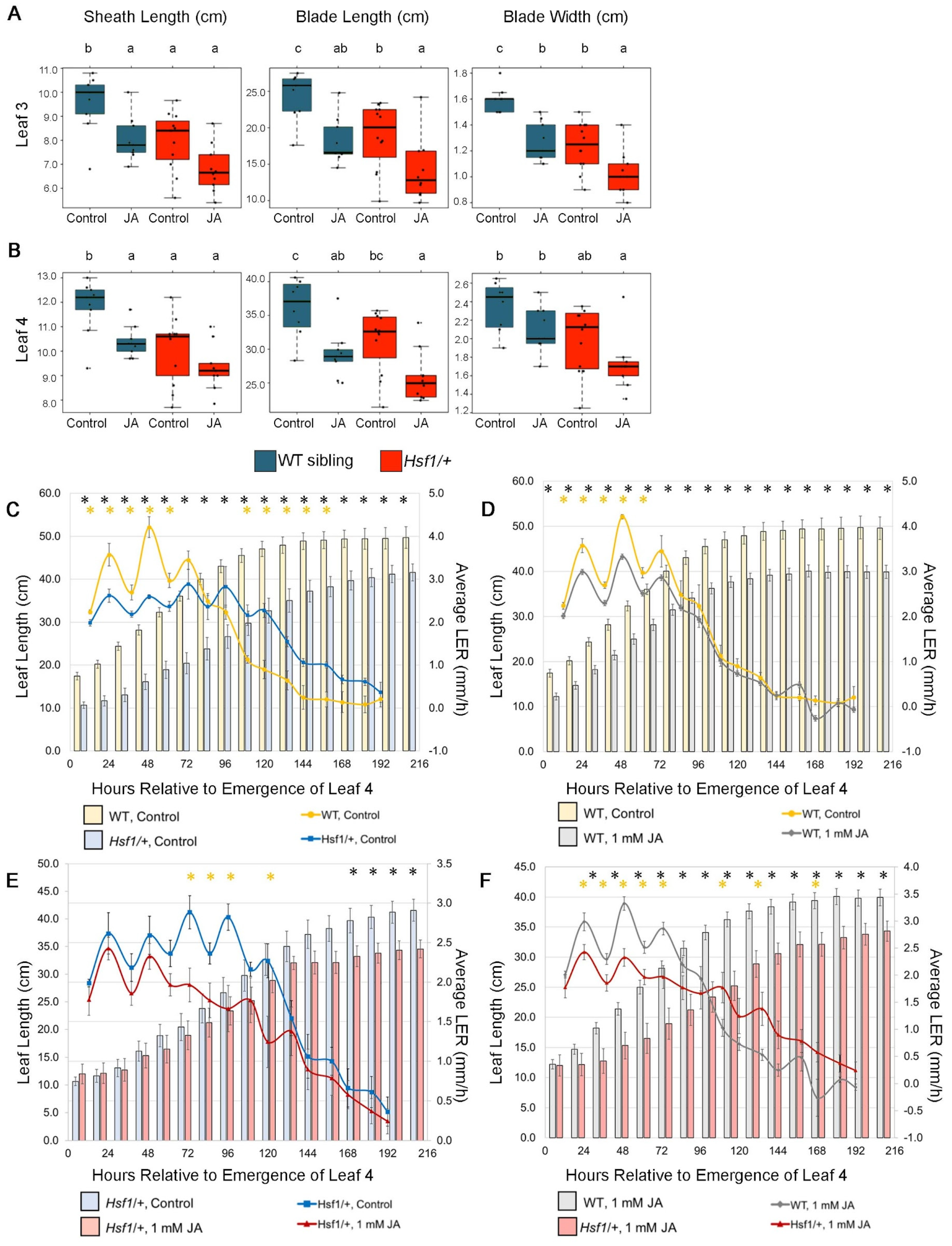 Plants 12 03014 g004 Plants 12 03014 g004