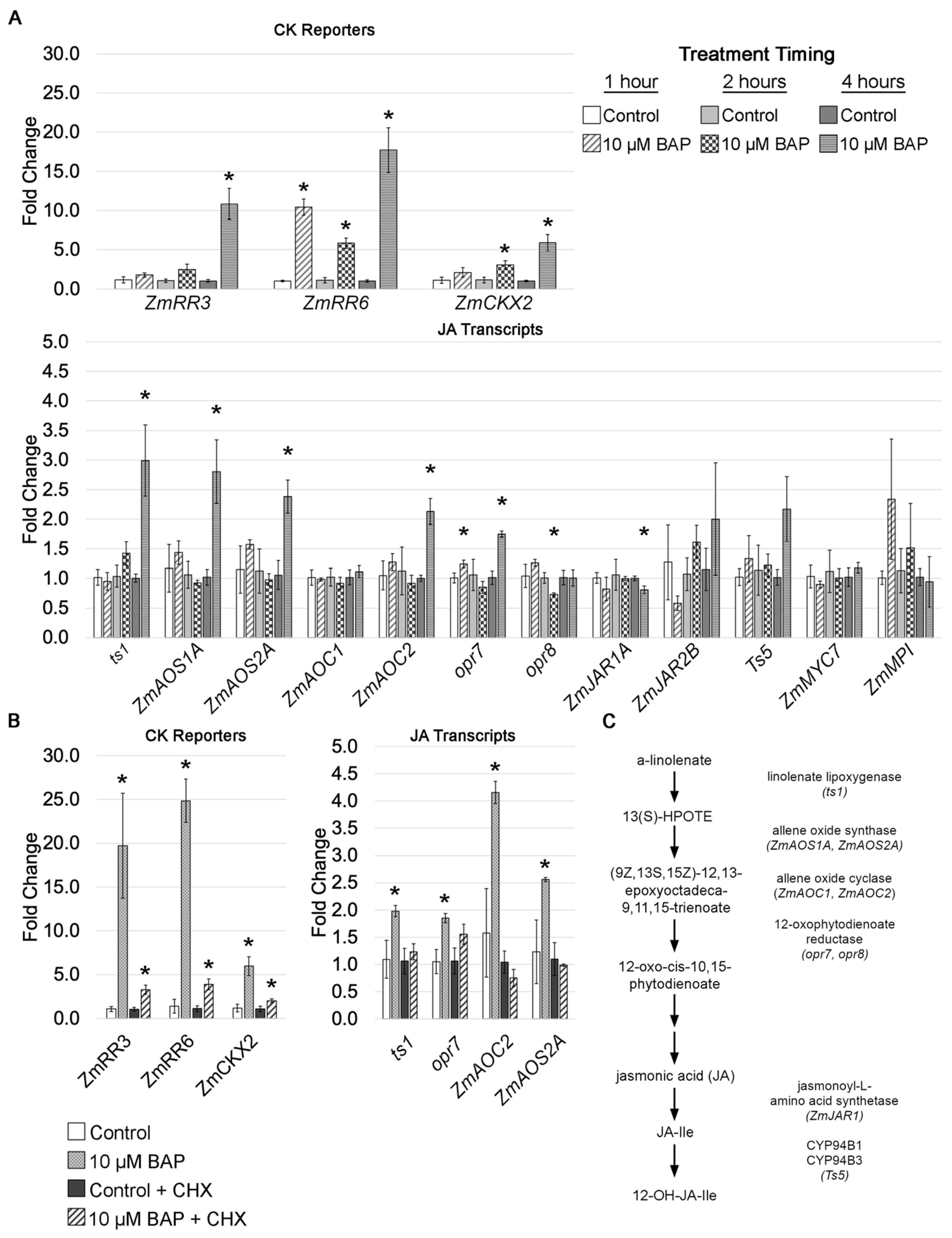 Plants 12 03014 g007 Plants 12 03014 g007