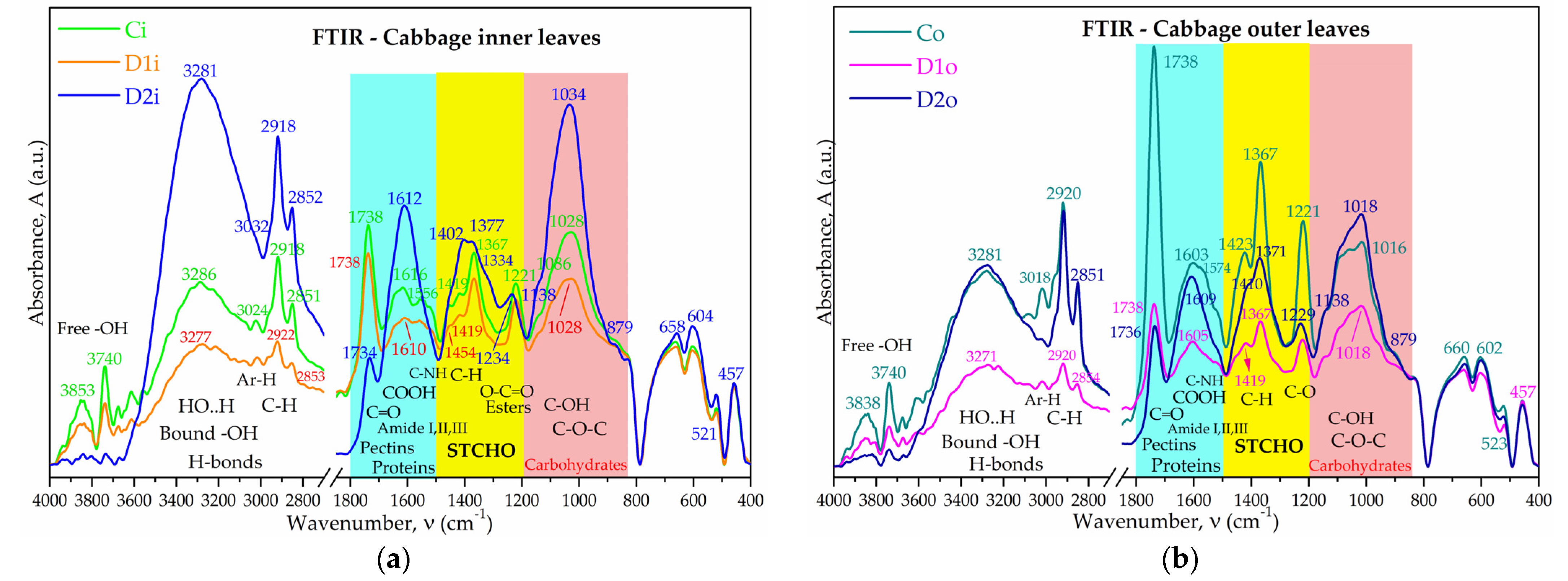 Plants 12 03016 g007