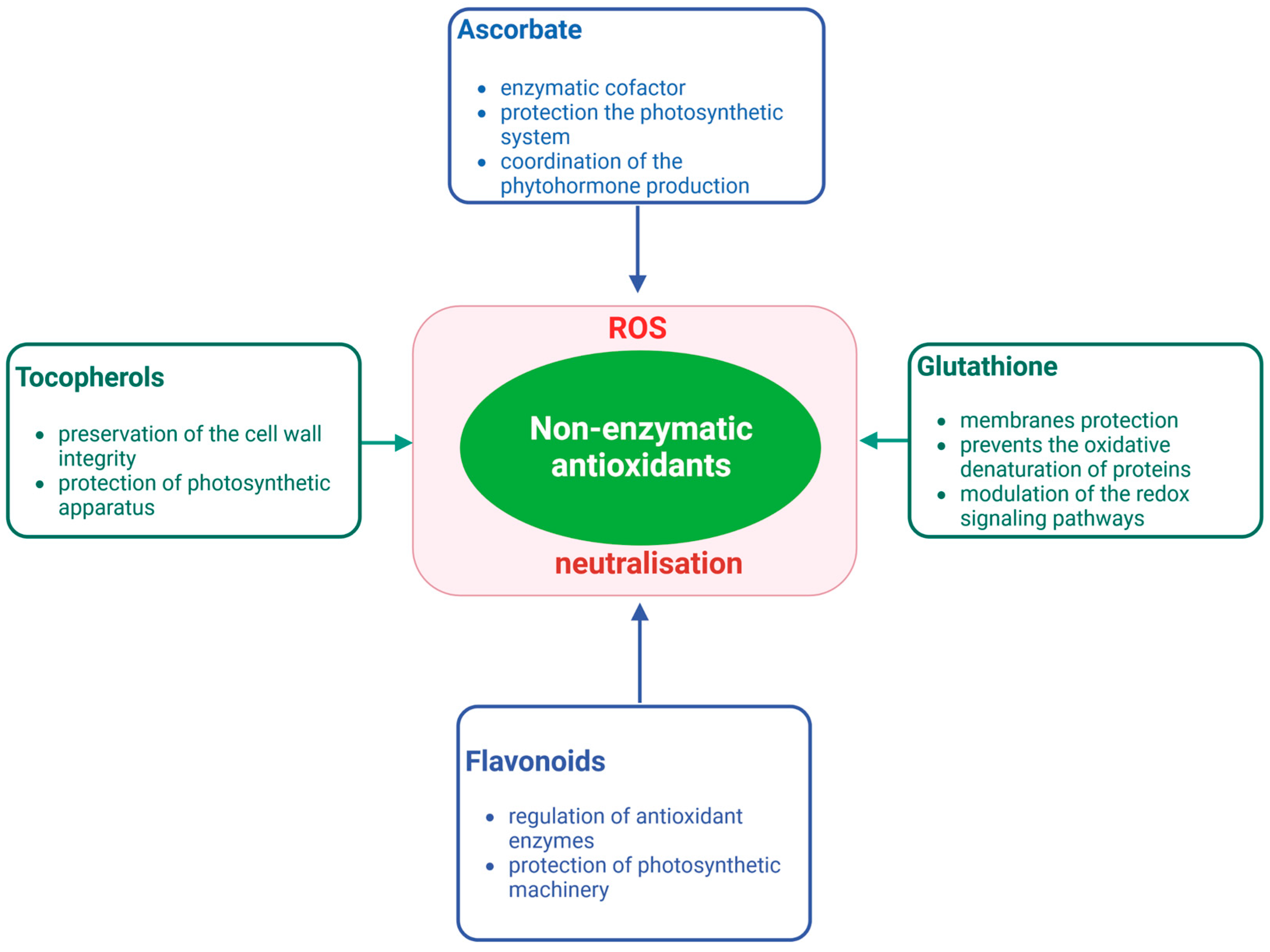 Plants 12 03023 g002