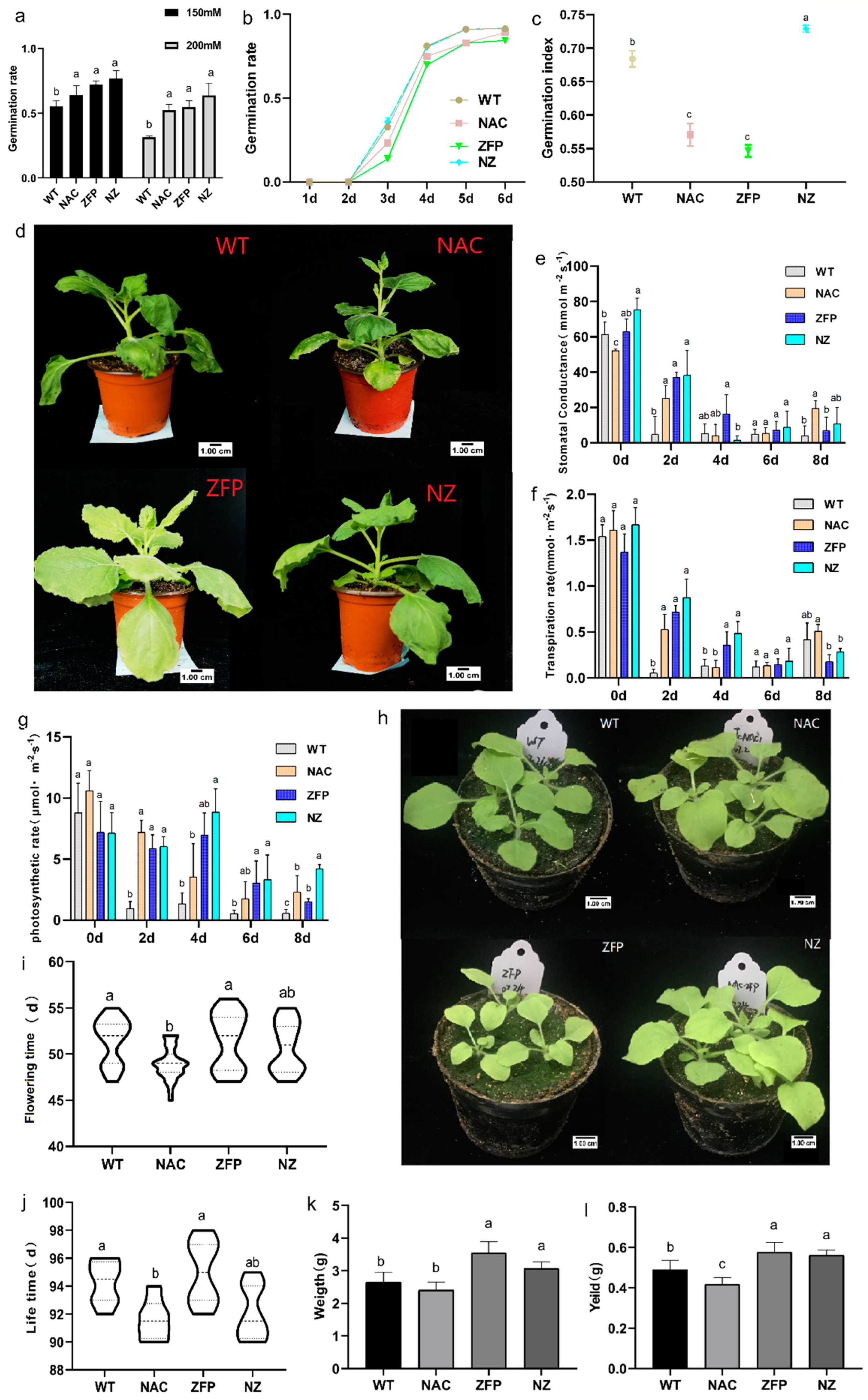 Plants 12 03029 g001