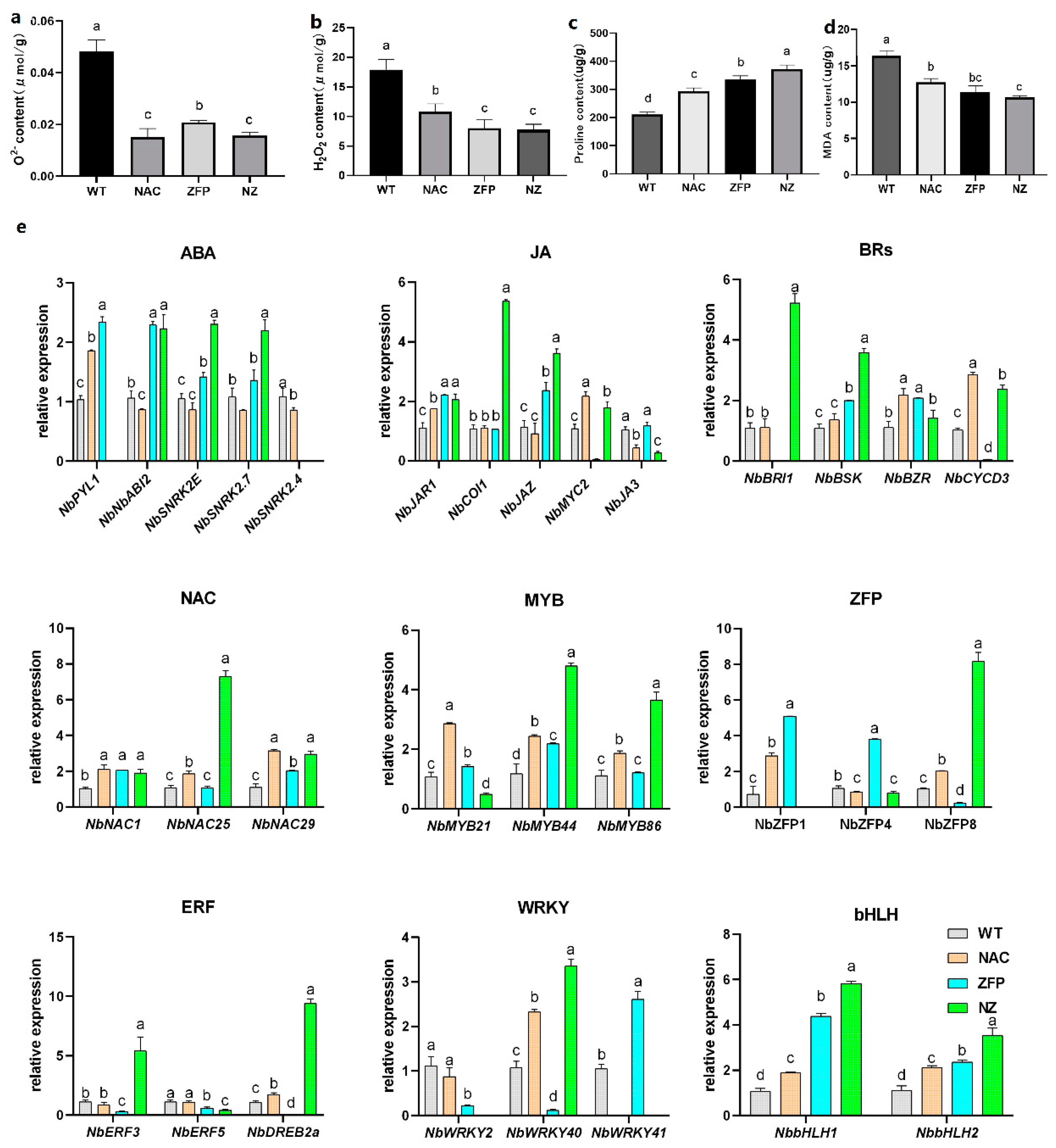 Plants 12 03029 g002