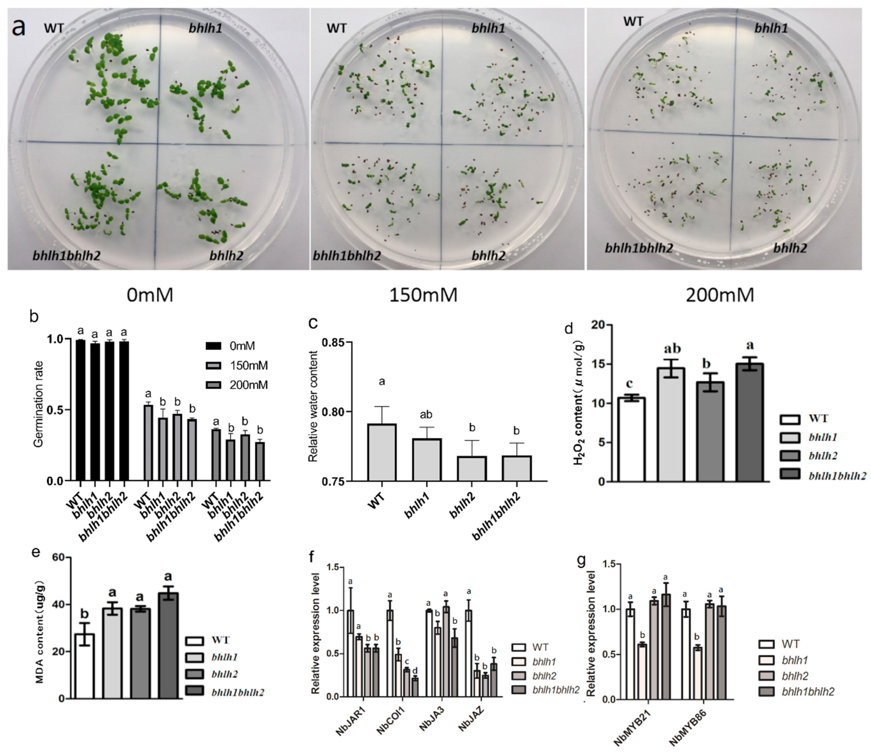 Plants 12 03029 g003
