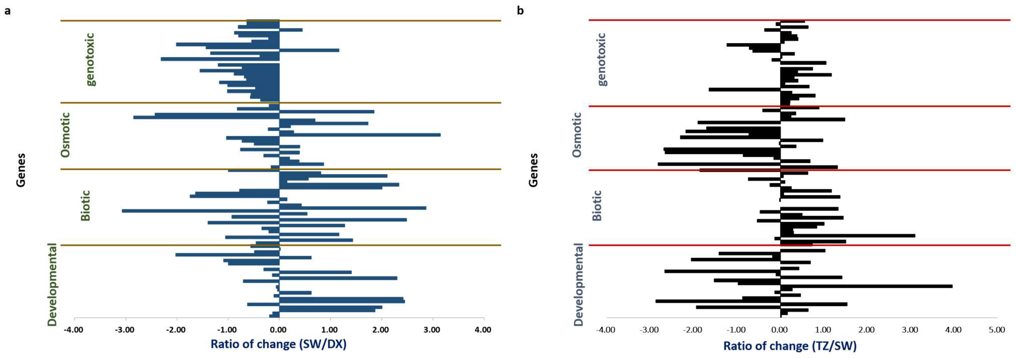 Plants 12 03031 g001