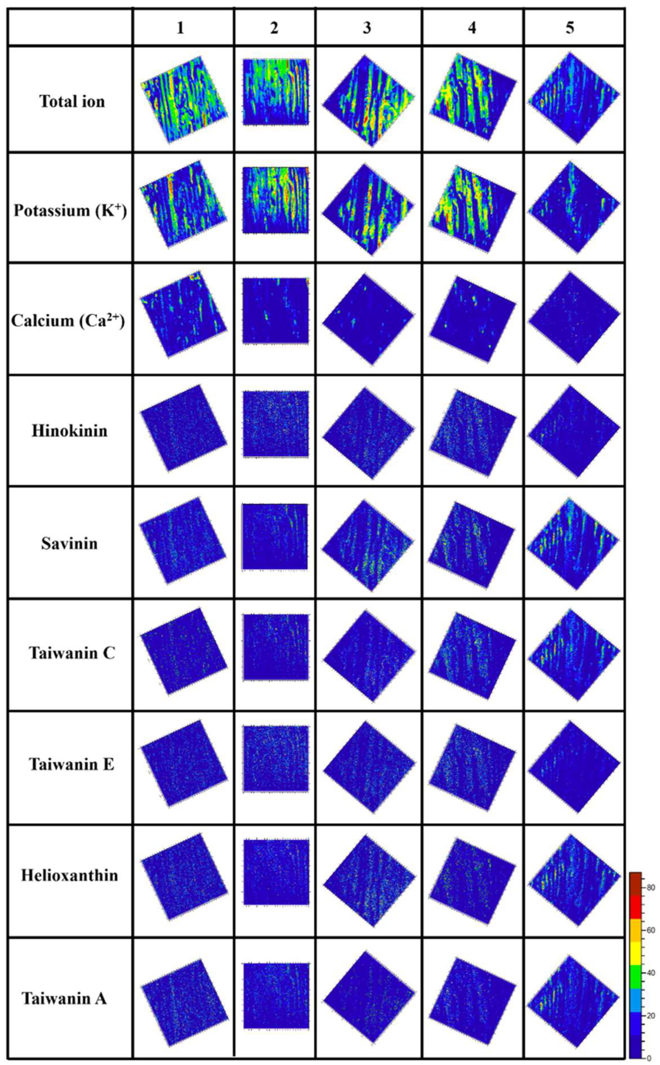 Plants 12 03031 g002
