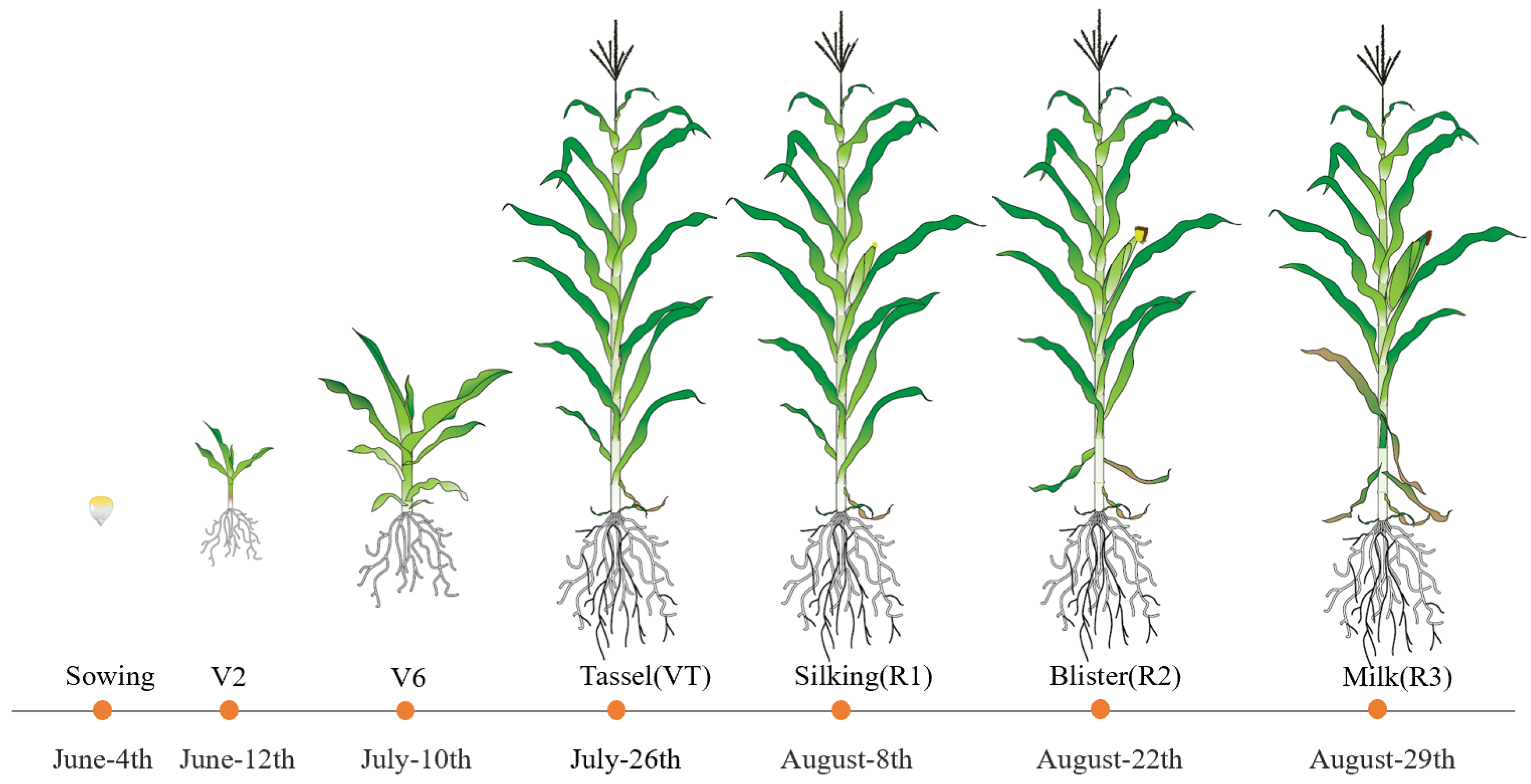 Plants 12 03034 g010
