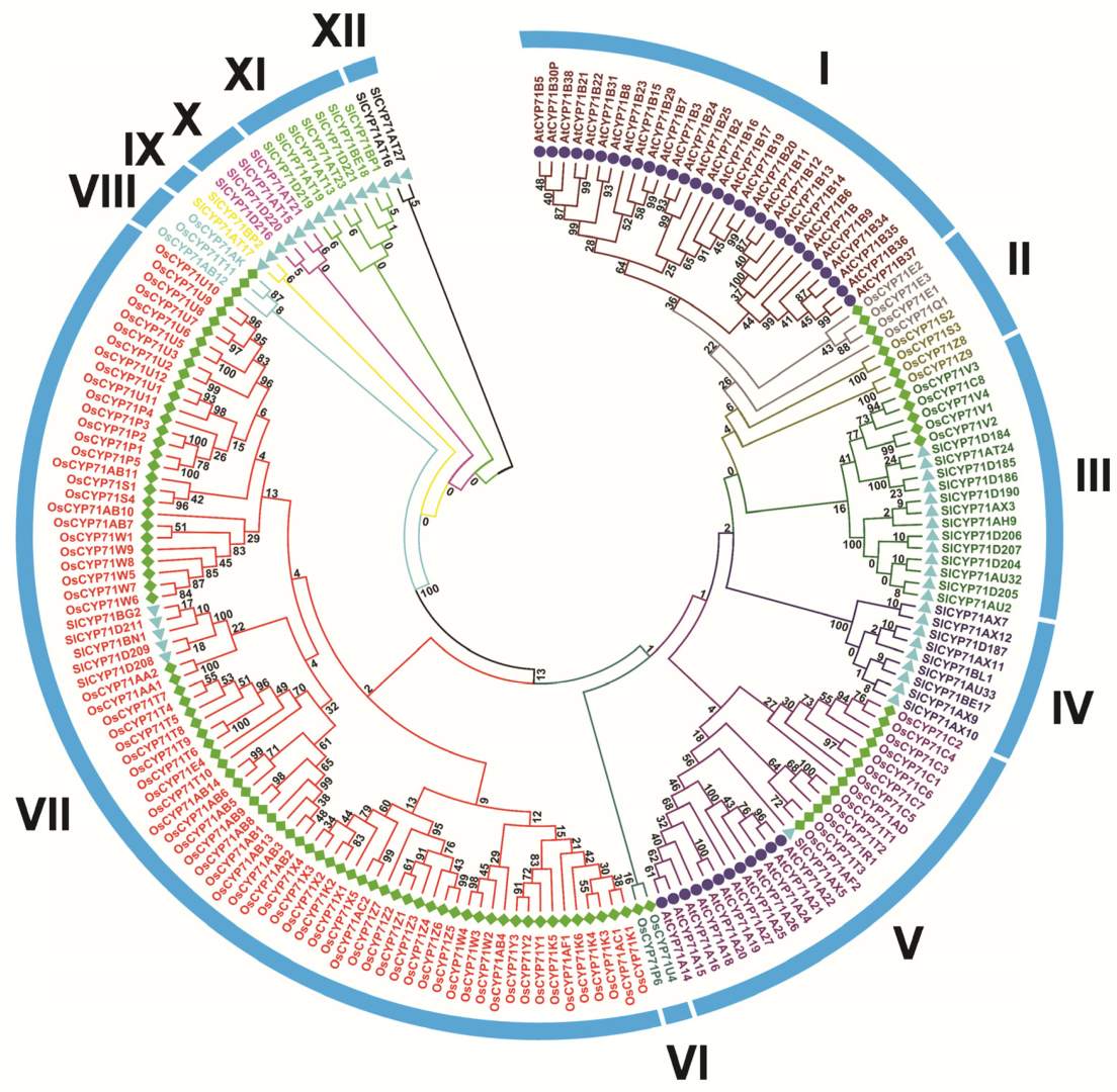Plants 12 03035 g001