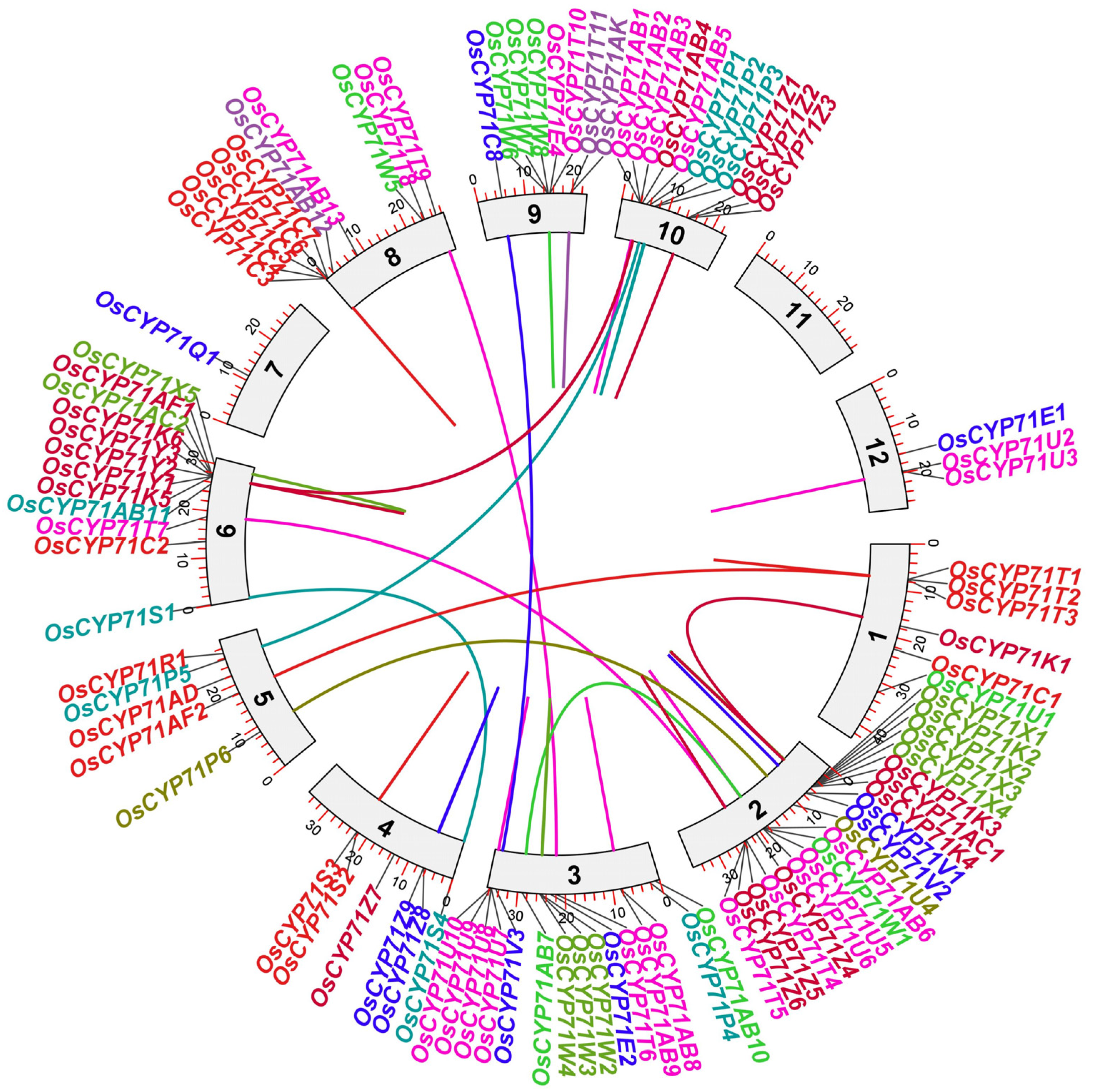 Plants 12 03035 g003