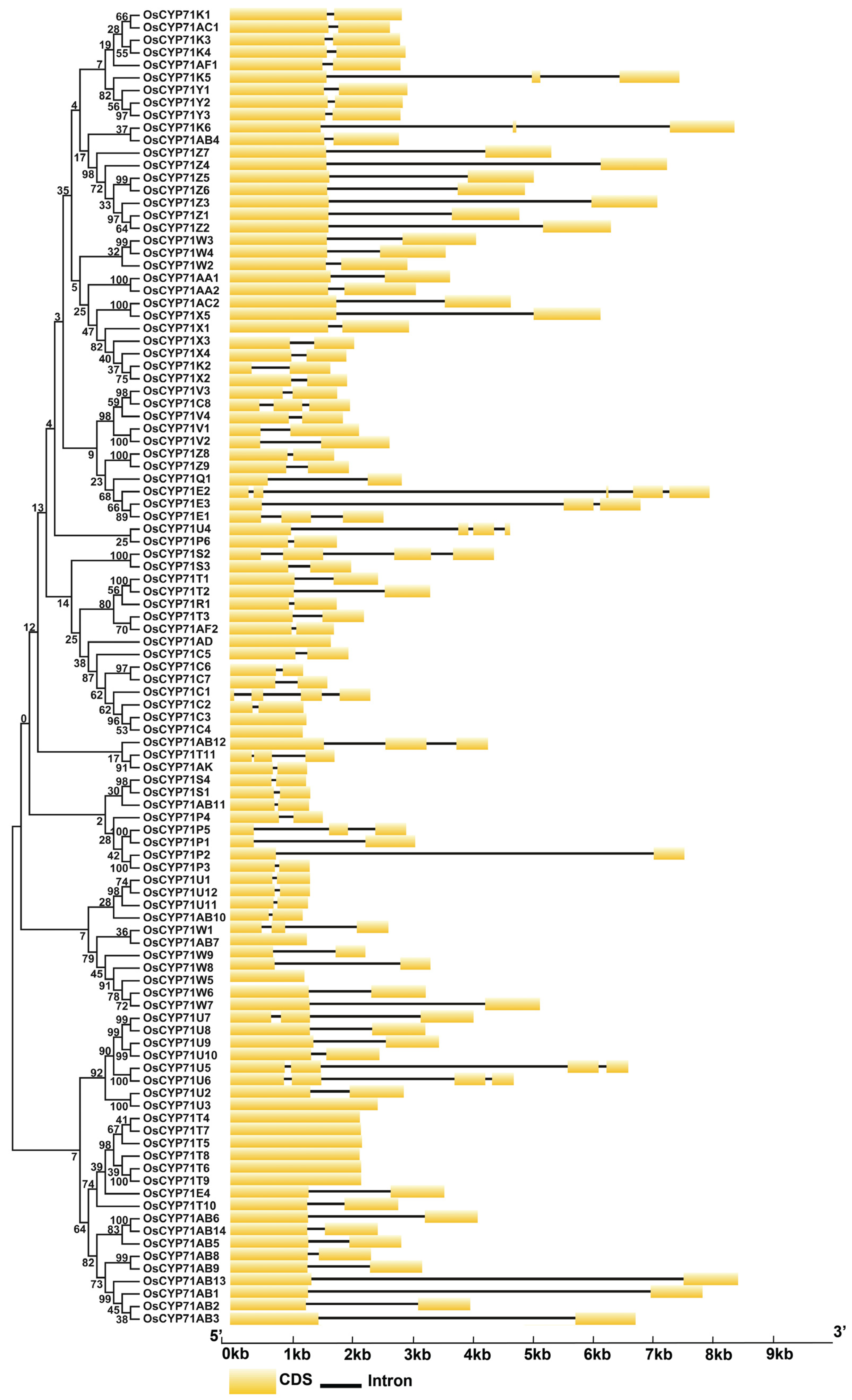 Plants 12 03035 g004
