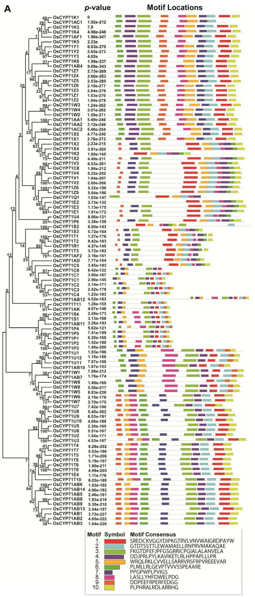 Plants 12 03035 g005a
