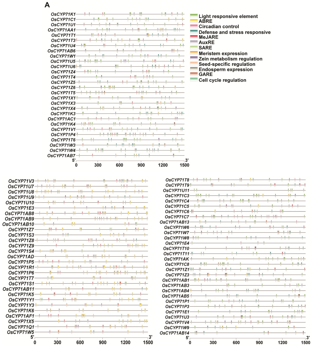 Plants 12 03035 g006a