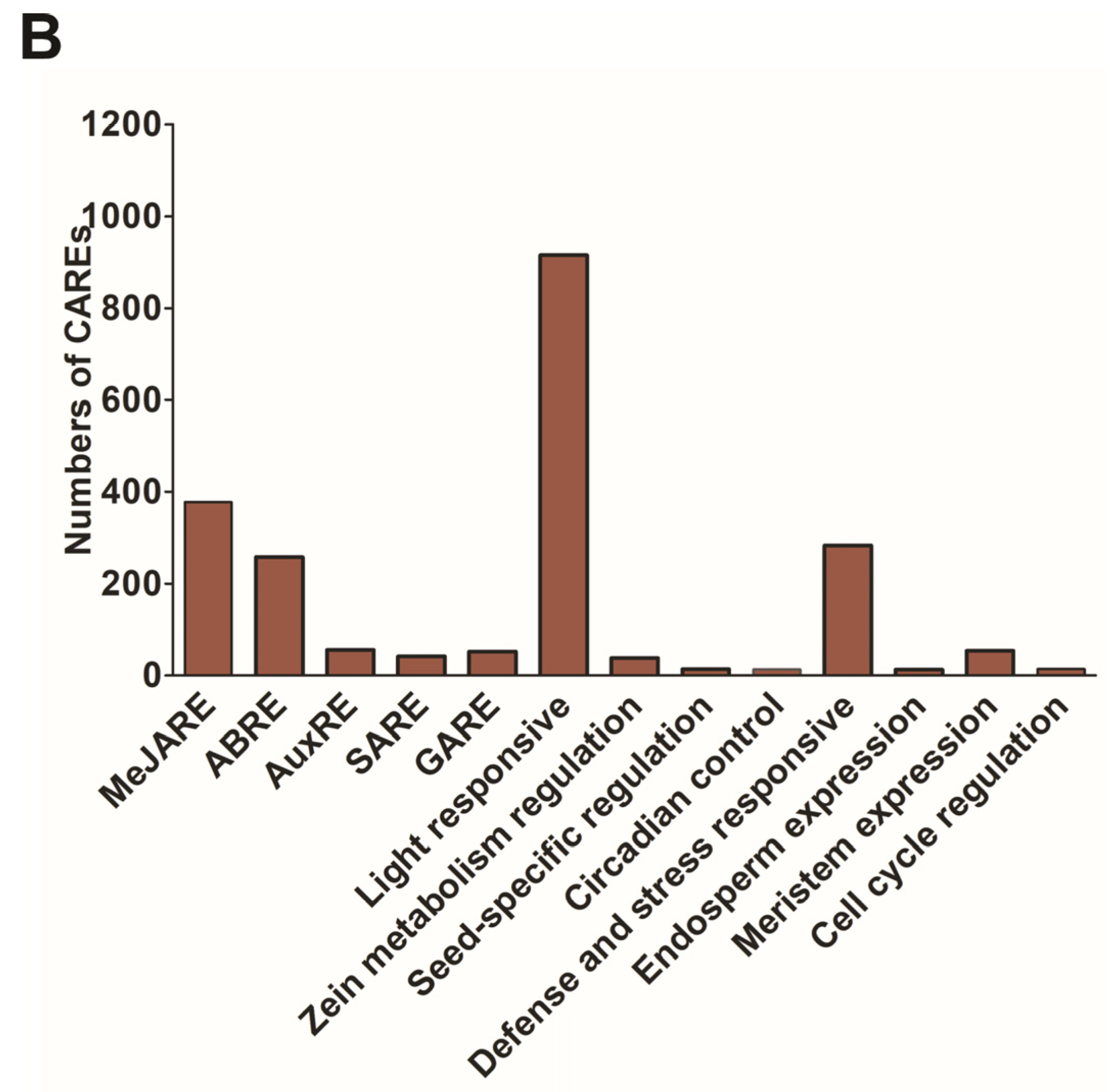 Plants 12 03035 g006b