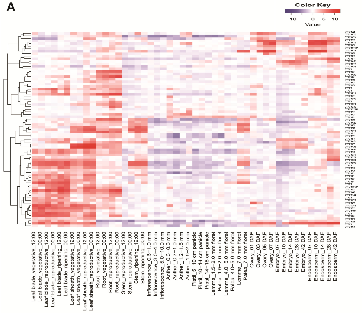 Plants 12 03035 g007a