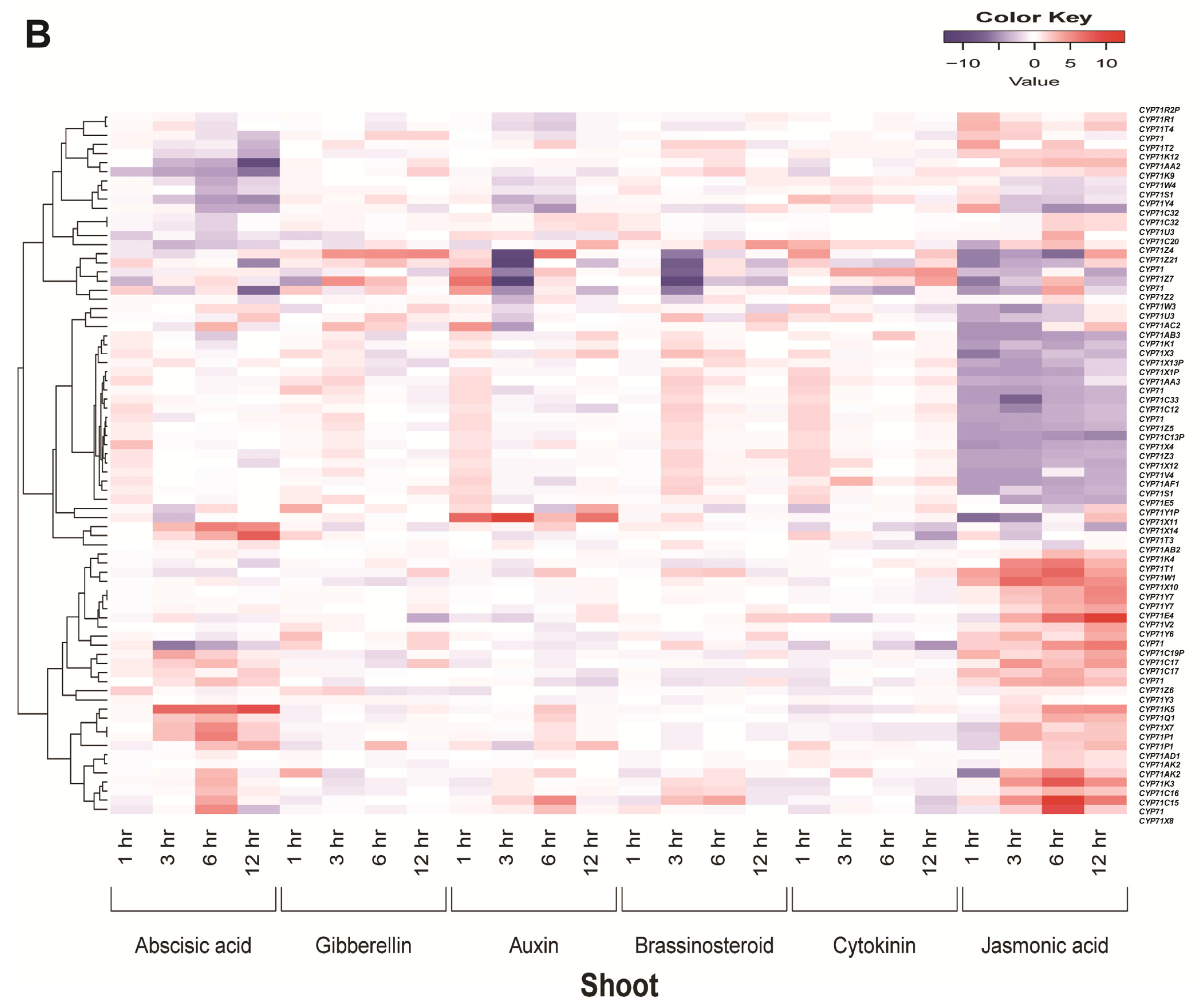 Plants 12 03035 g007b