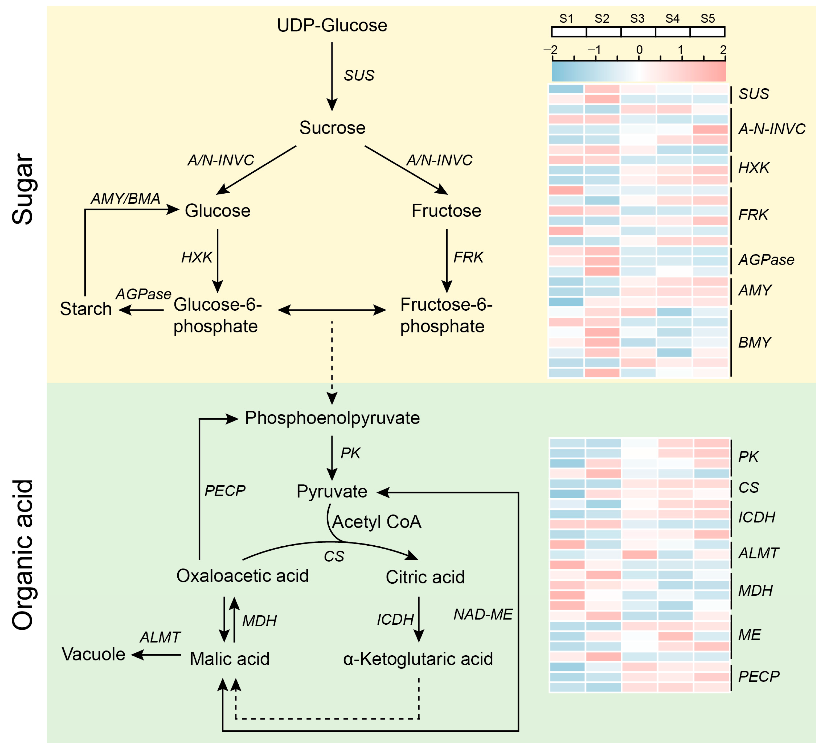 Plants 12 03036 g003